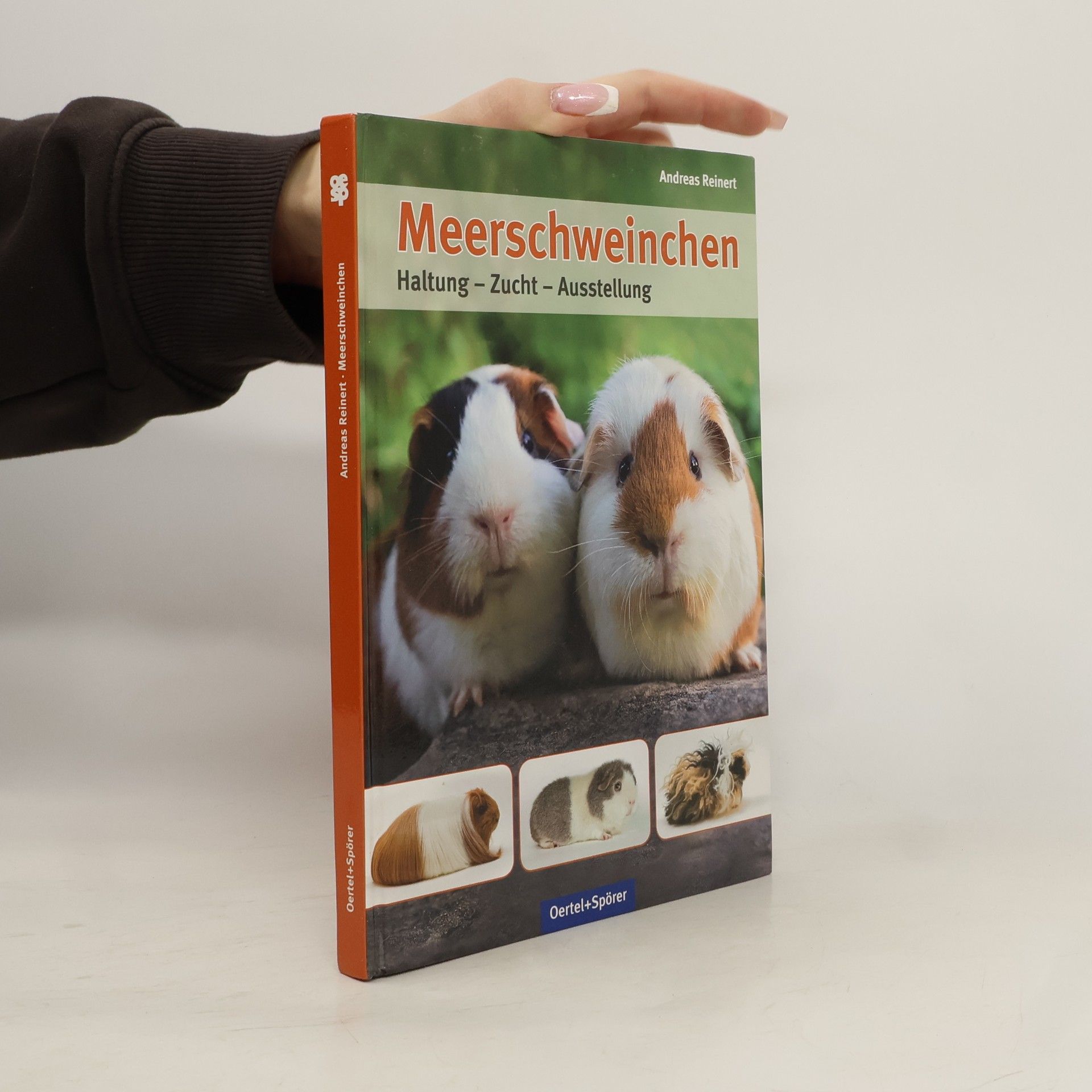 Andreas Reinert Meerschweinchen