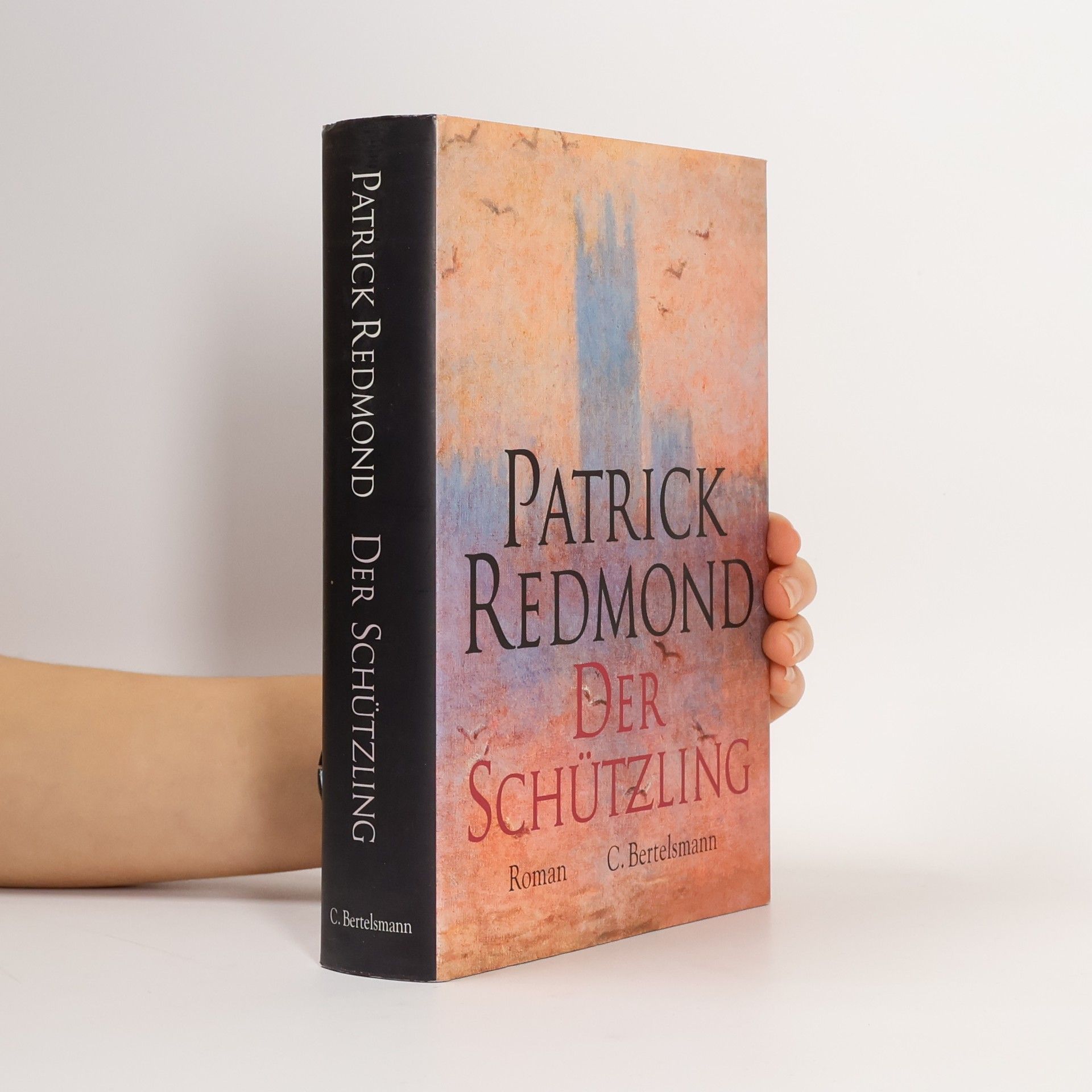 Patrick Redmond Der Schützling