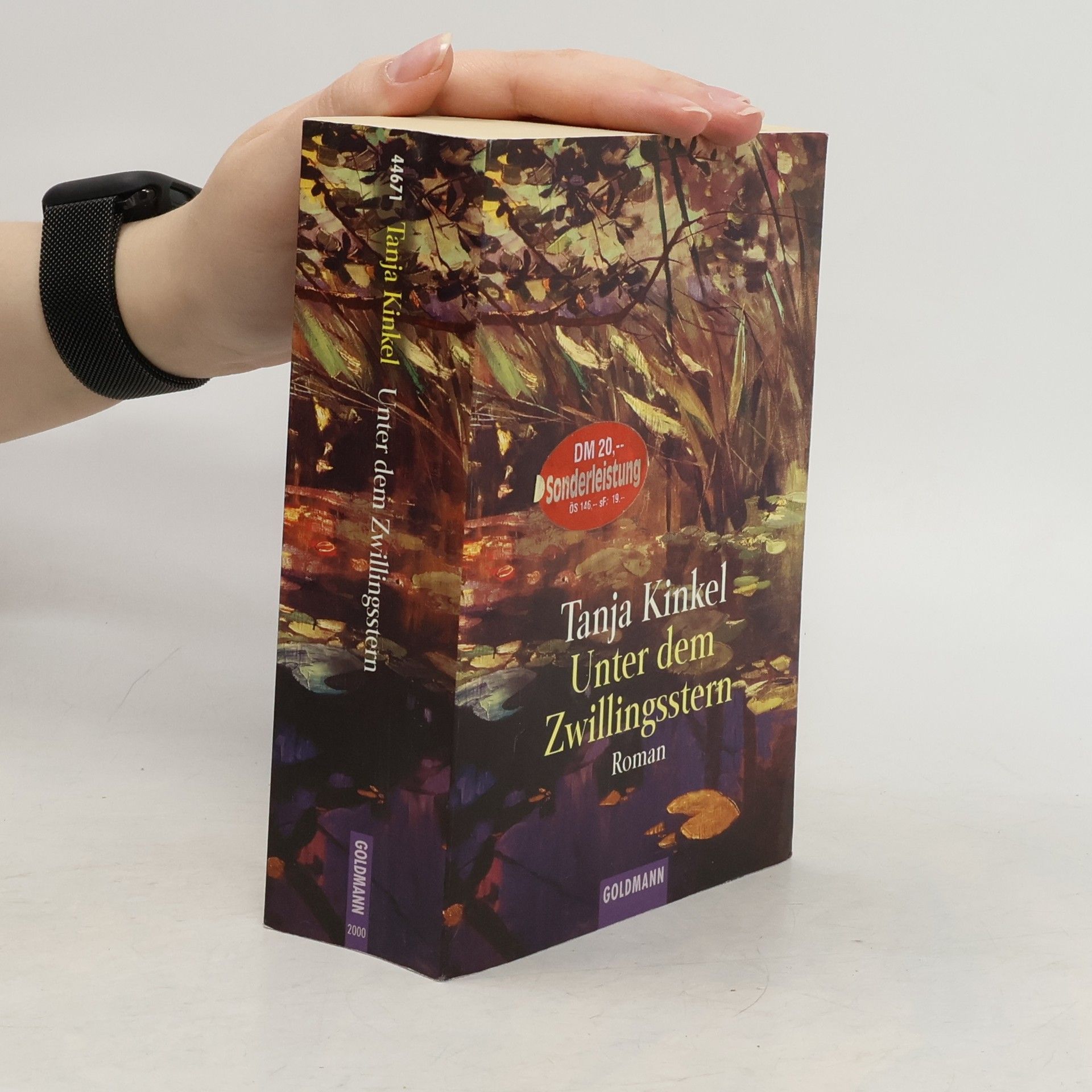 Unter dem Zwillingsstern