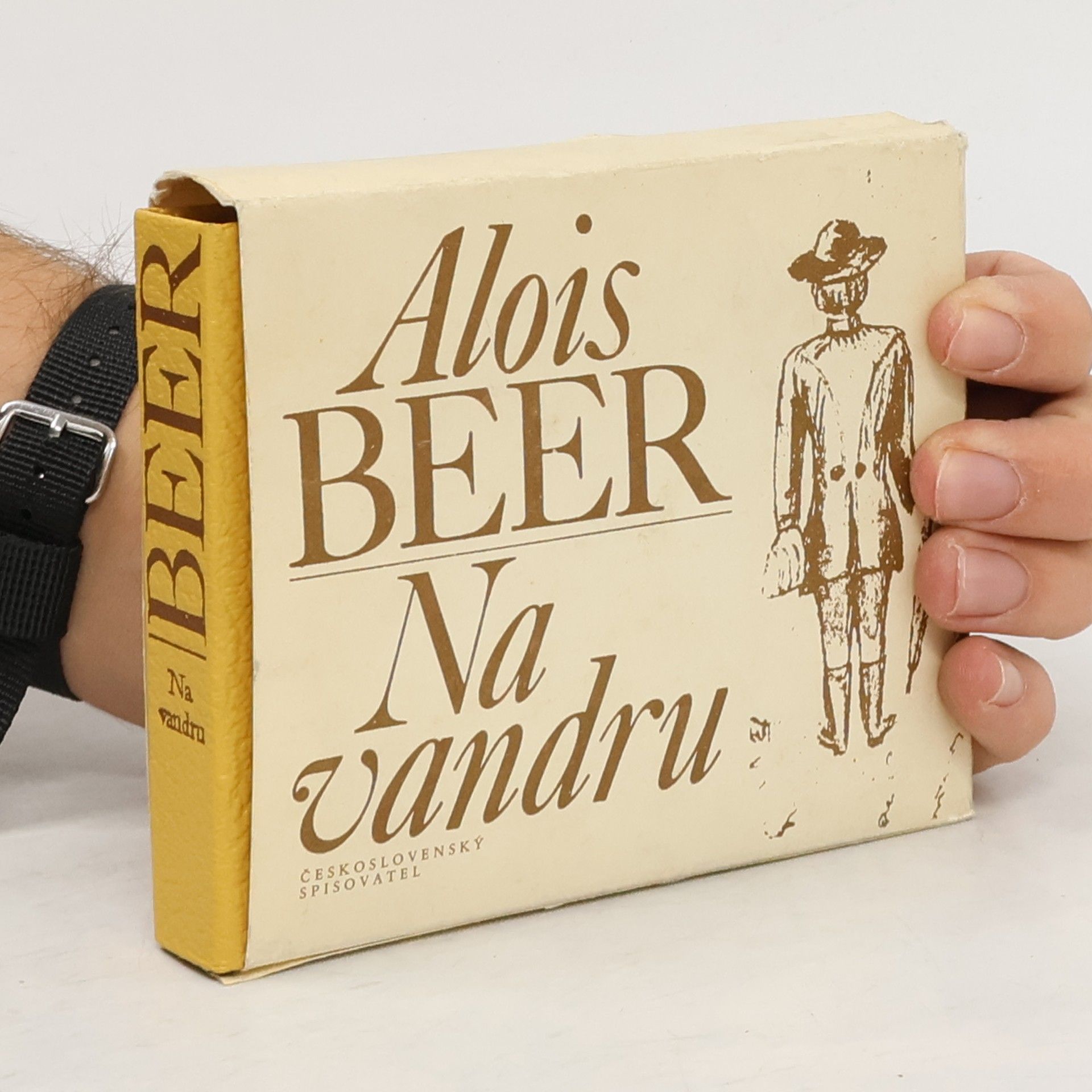 Alois Beer Na vandru