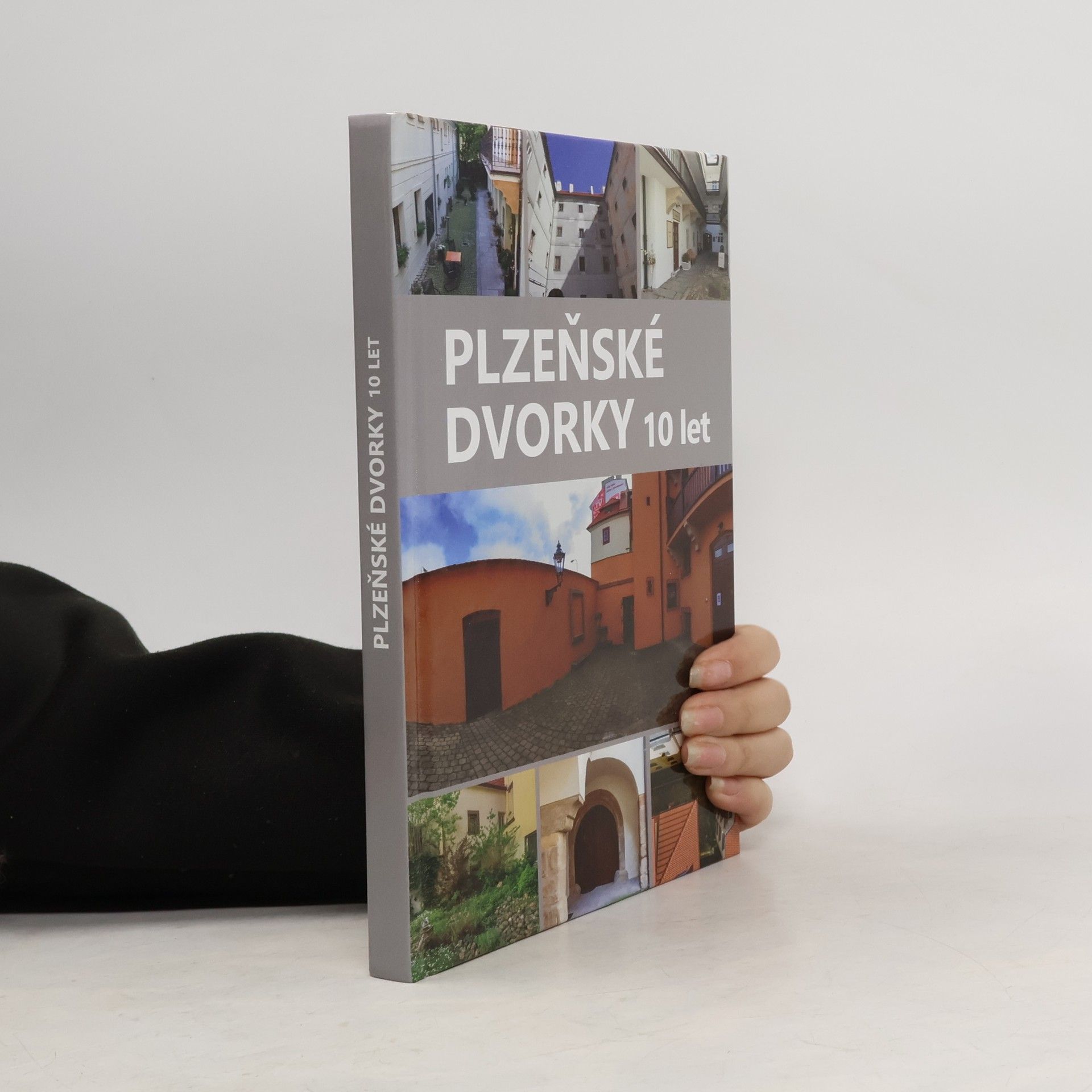 Anna Hostičková Plzeňské dvorky. 10 let