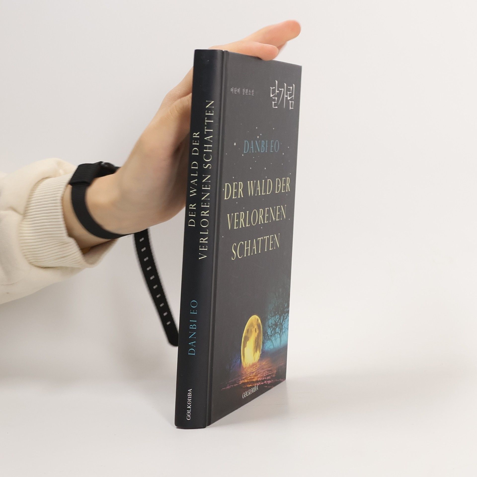 Danbi Lee Der Wald der verlorenen Schatten