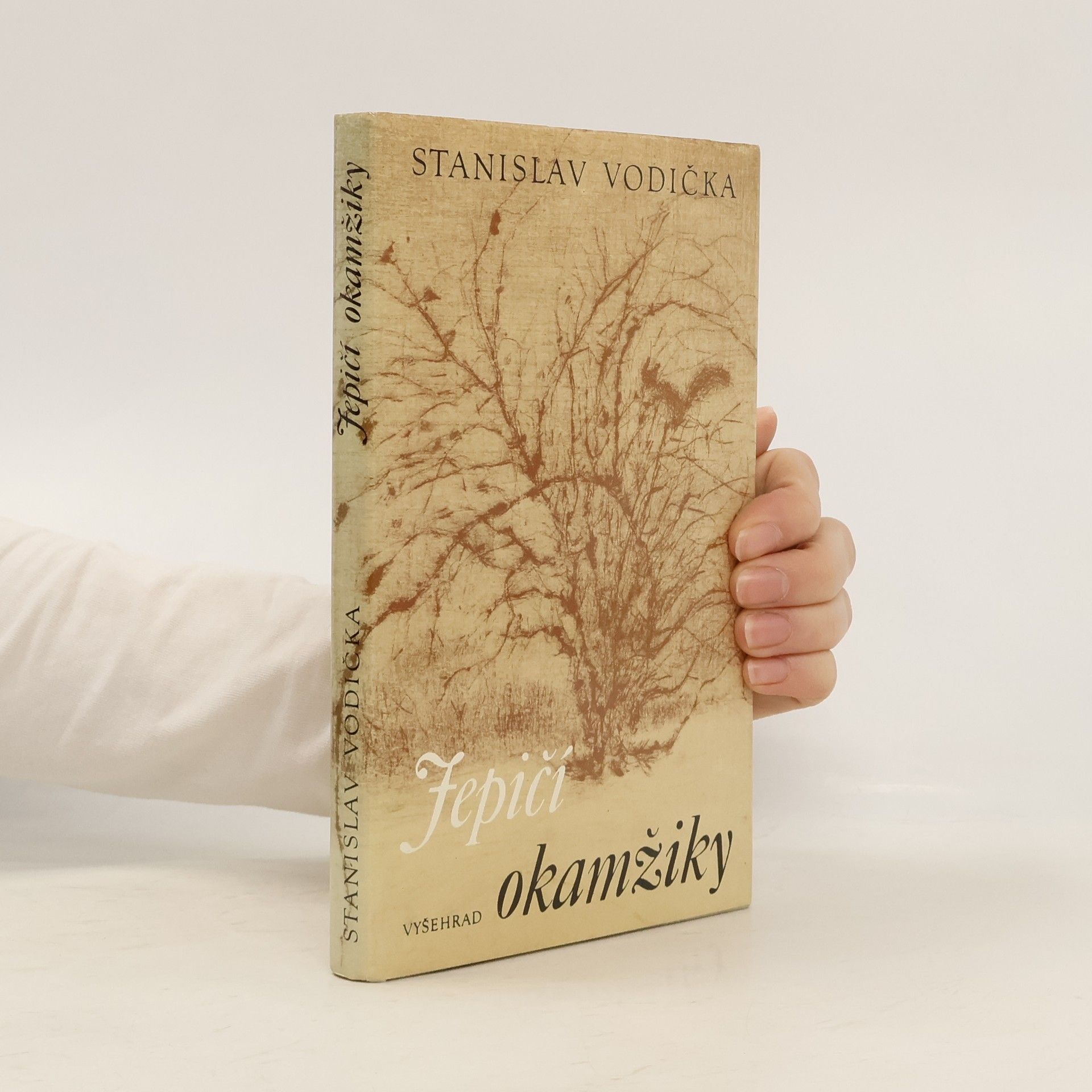 Stanislav Vodička Jepičí okamžiky