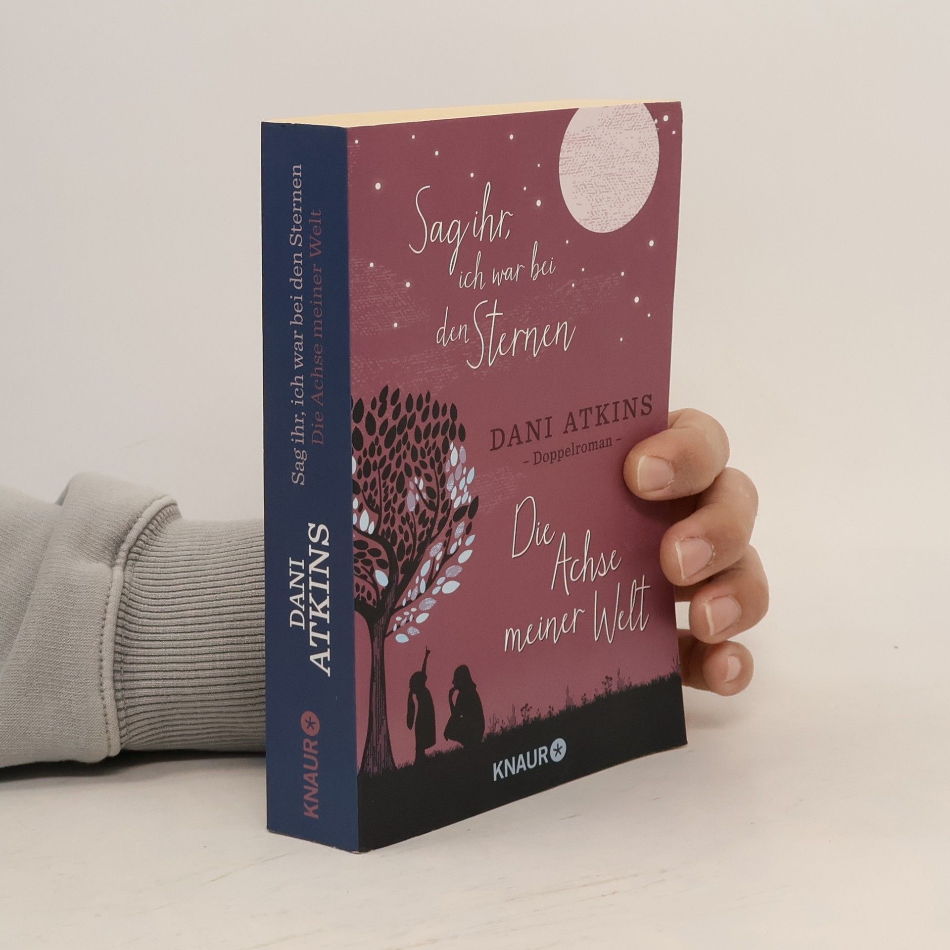 Dani Atkins Sag ihr, ich war bei den Sternen und Die Achse meiner Welt