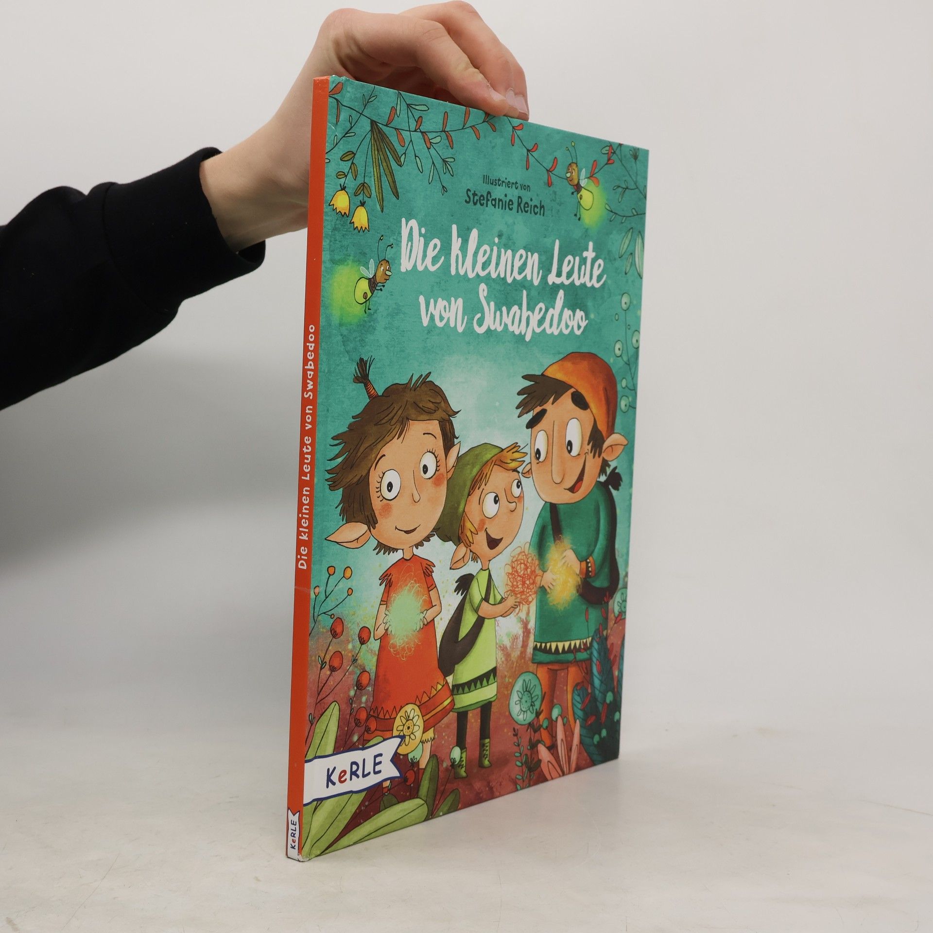 Stefanie Reich Die kleinen Leute von Swabedoo