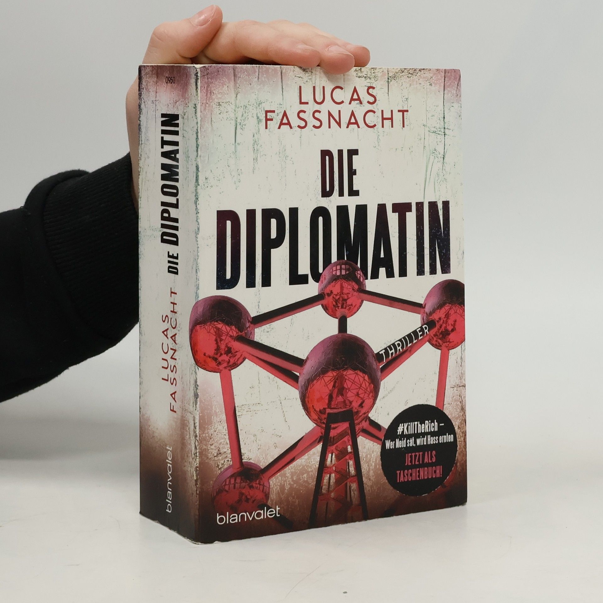 Lucas Fassnacht Die Diplomatin