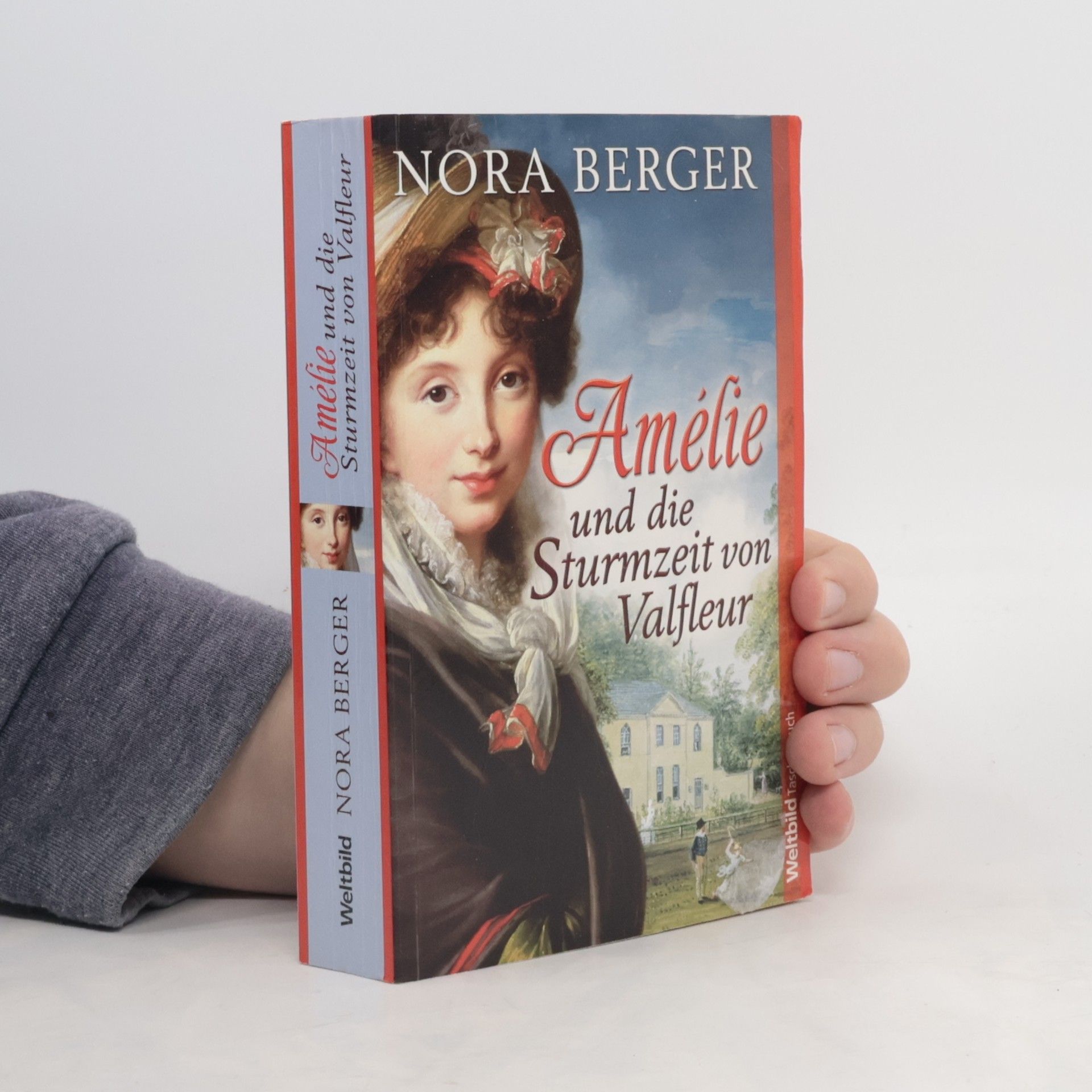Nora Berger Amélie und die Sturmzeit von Valfleur