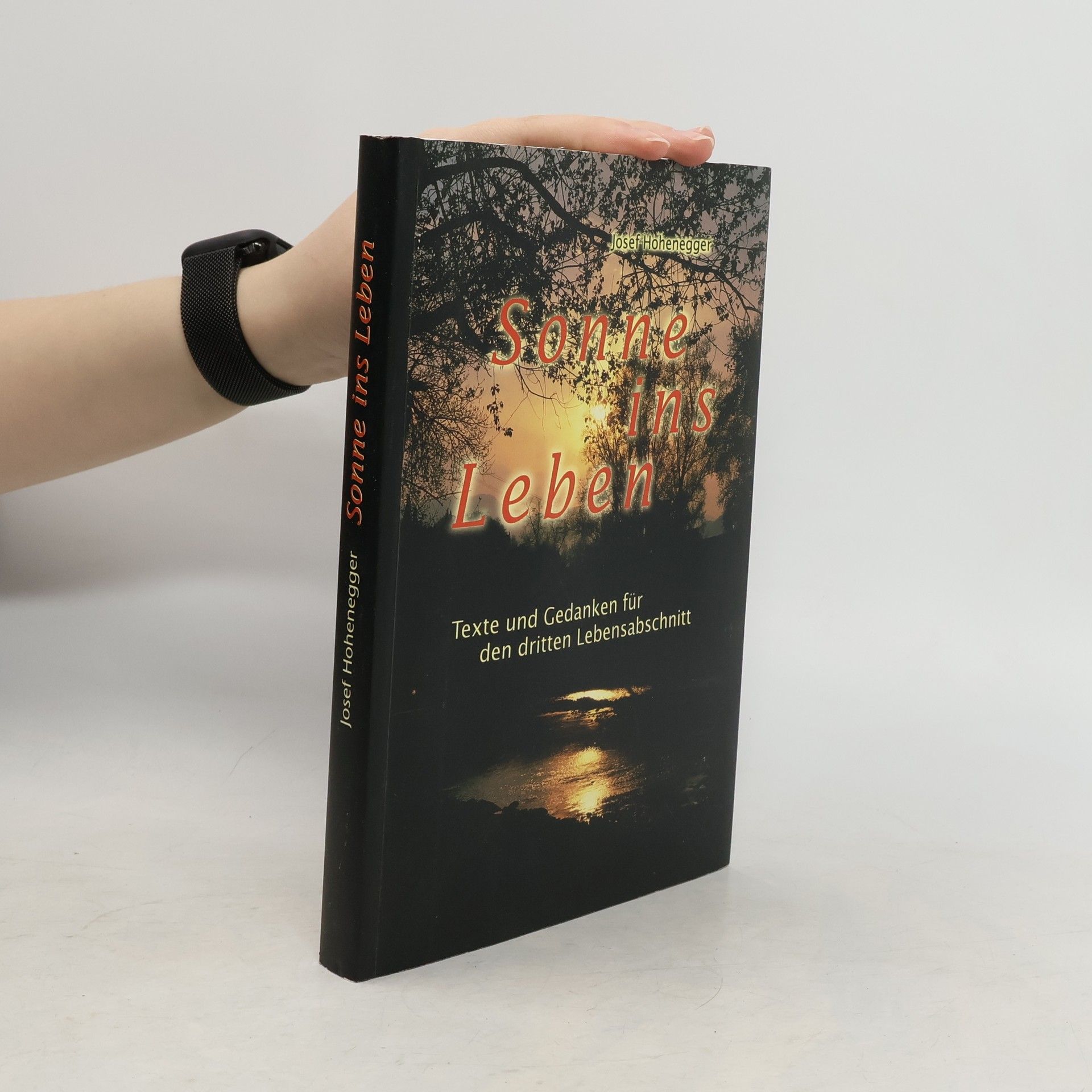 Josef Hohenegger Sonne ins Leben