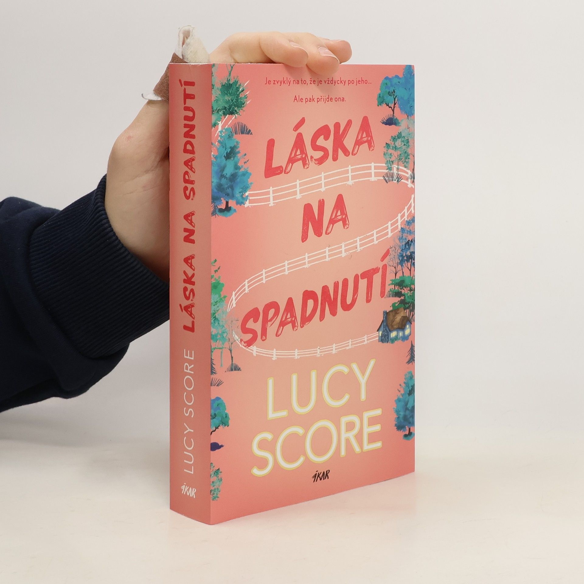 Lucy Score Láska na spadnutí