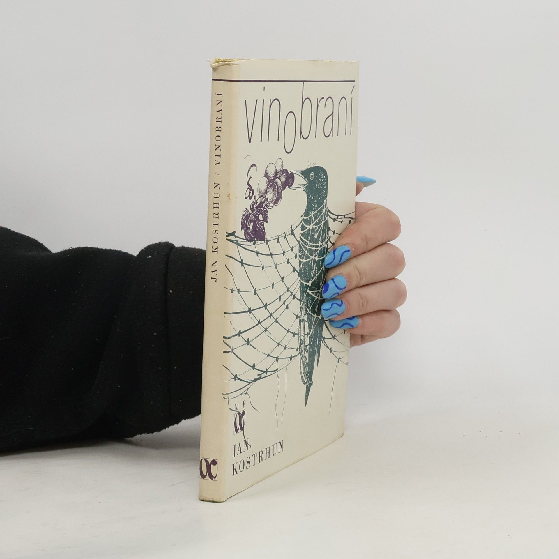 Jan Kostrhun Vinobraní