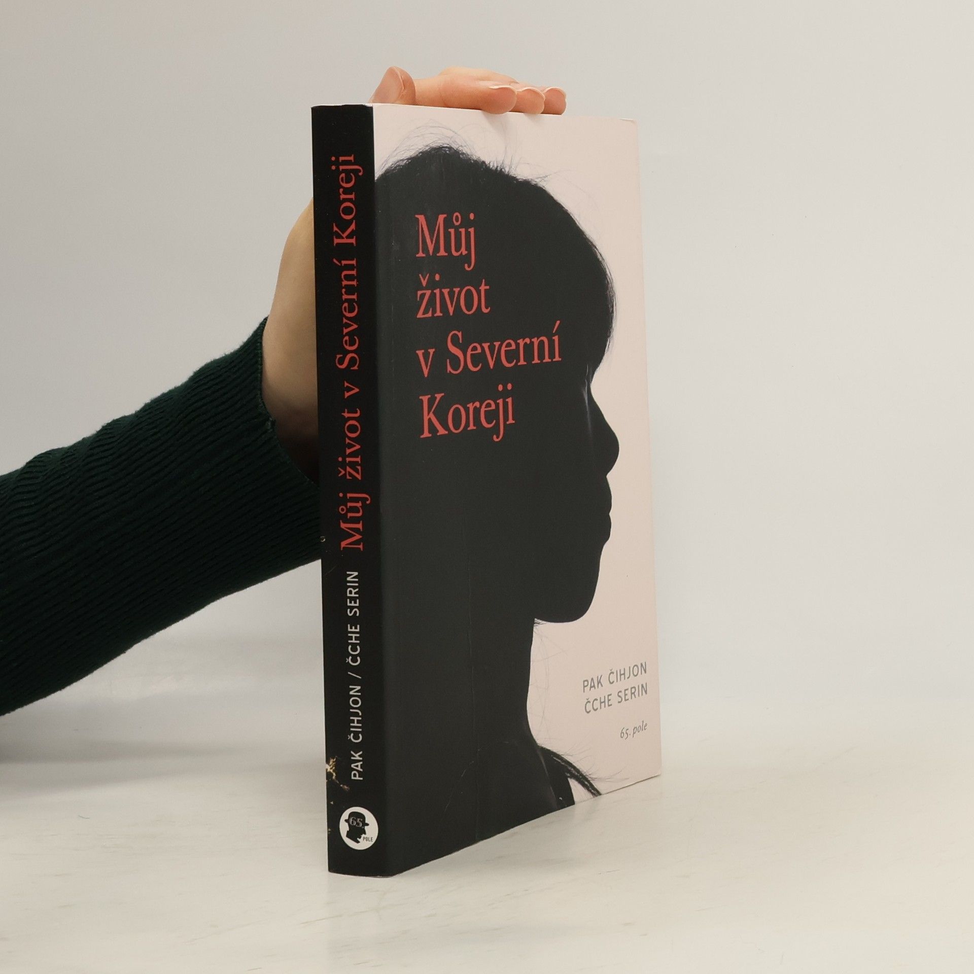 SehLynn Můj život v Severní Koreji