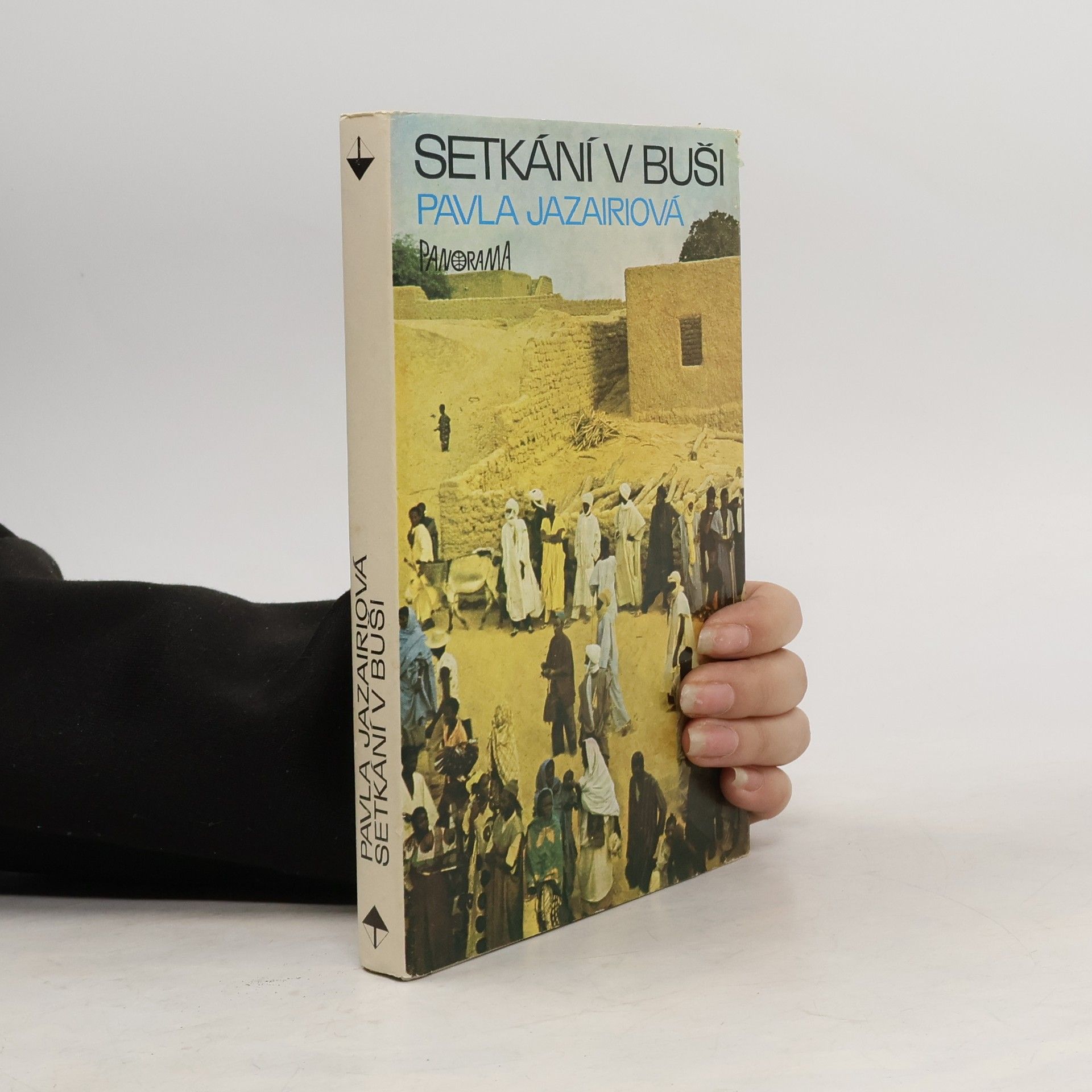 Pavla Jazairiová Setkání v buši