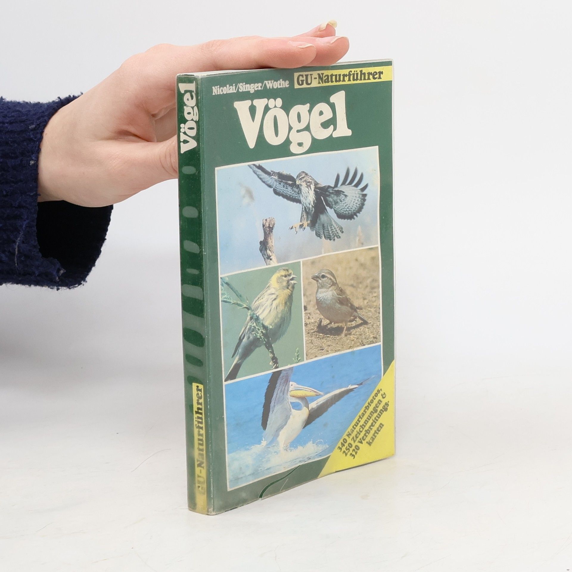 Kolektiv autorů GU-Naturführer Vögel
