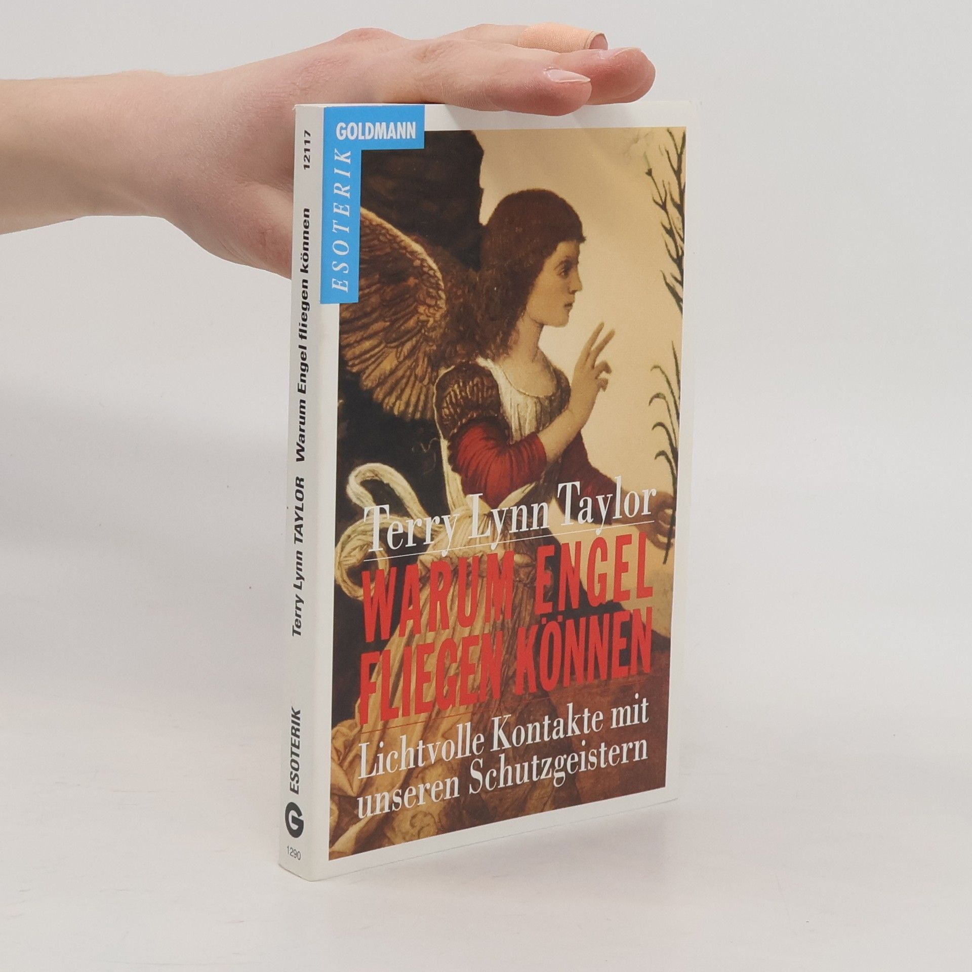 Warum Engel Fliegen Können