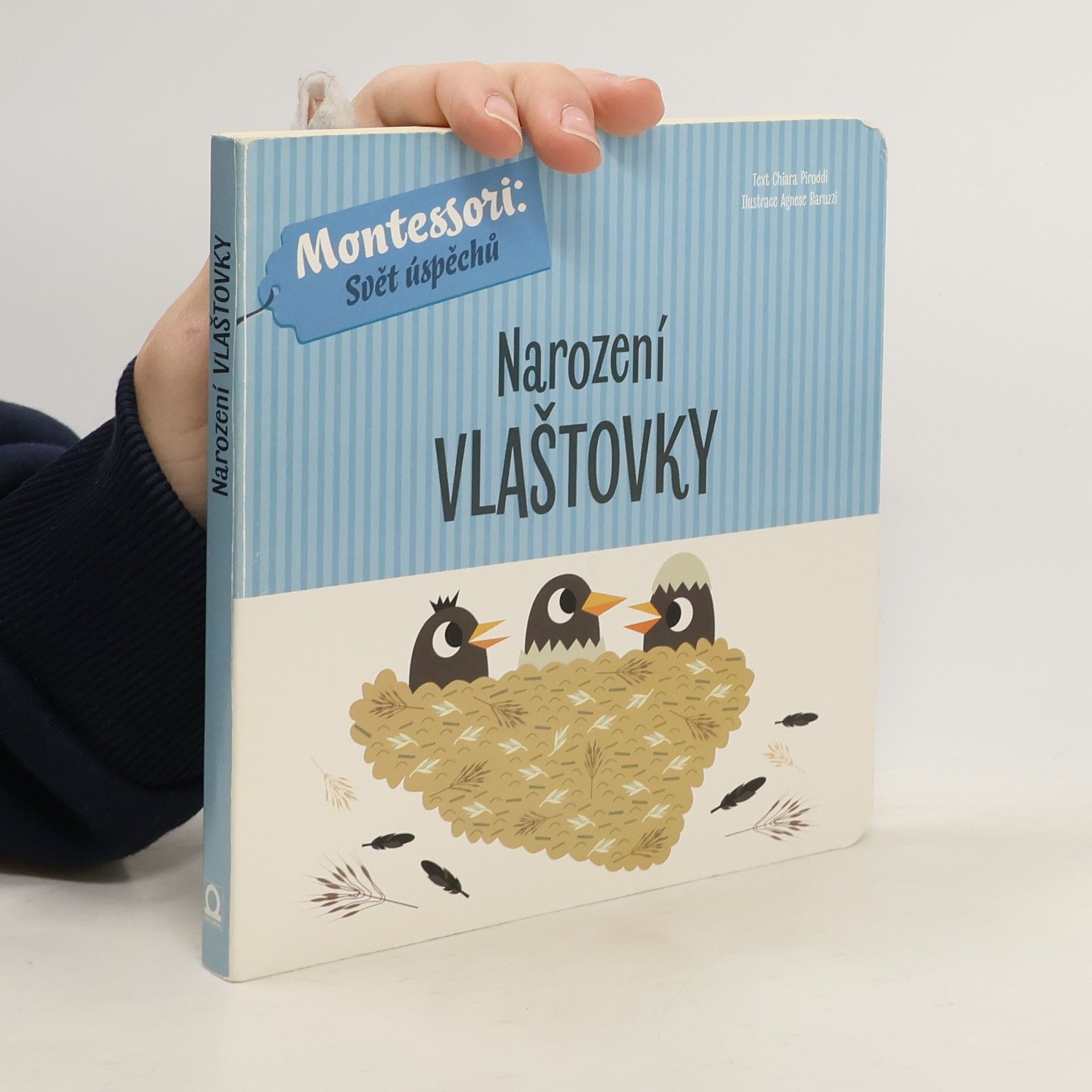 Chiara Piroddi Narození vlaštovky