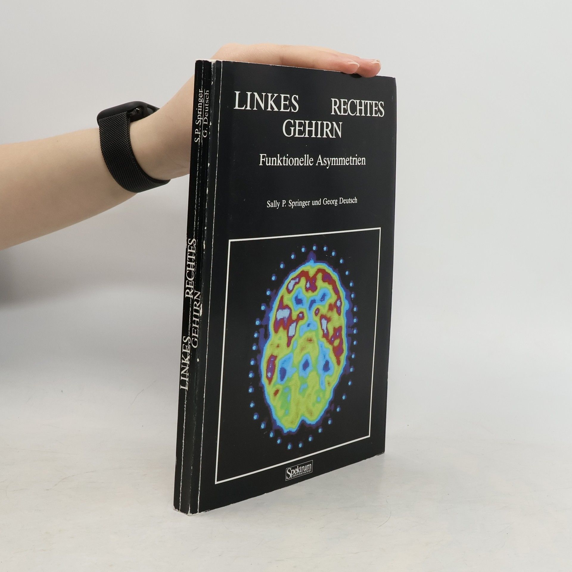 Linkes - rechtes Gehirn