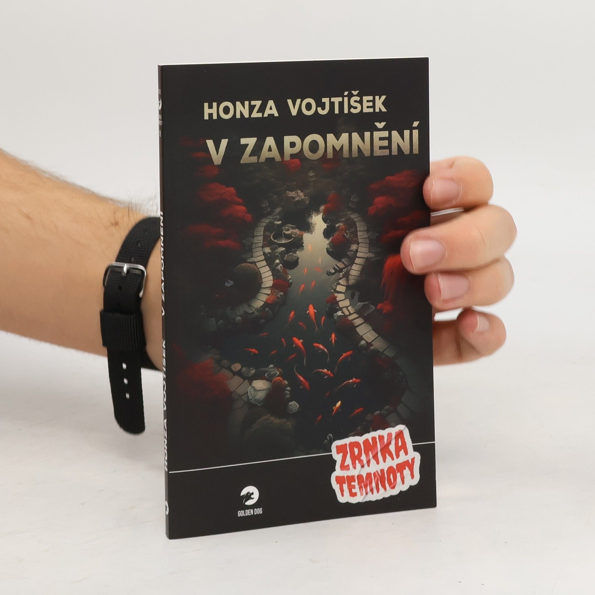 Honza Vojtíšek V zapomnění