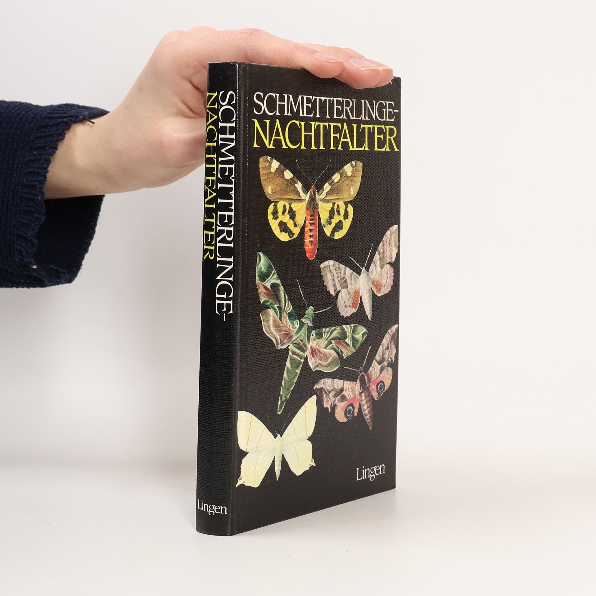 Autorenkollektiv Schmetterlinge-Nachtfalter