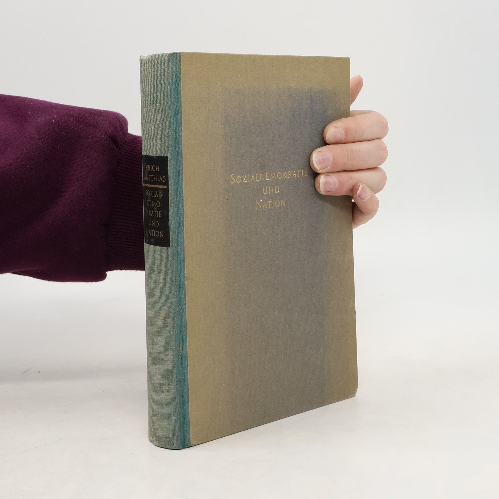 Sozialedemokratie und Nation