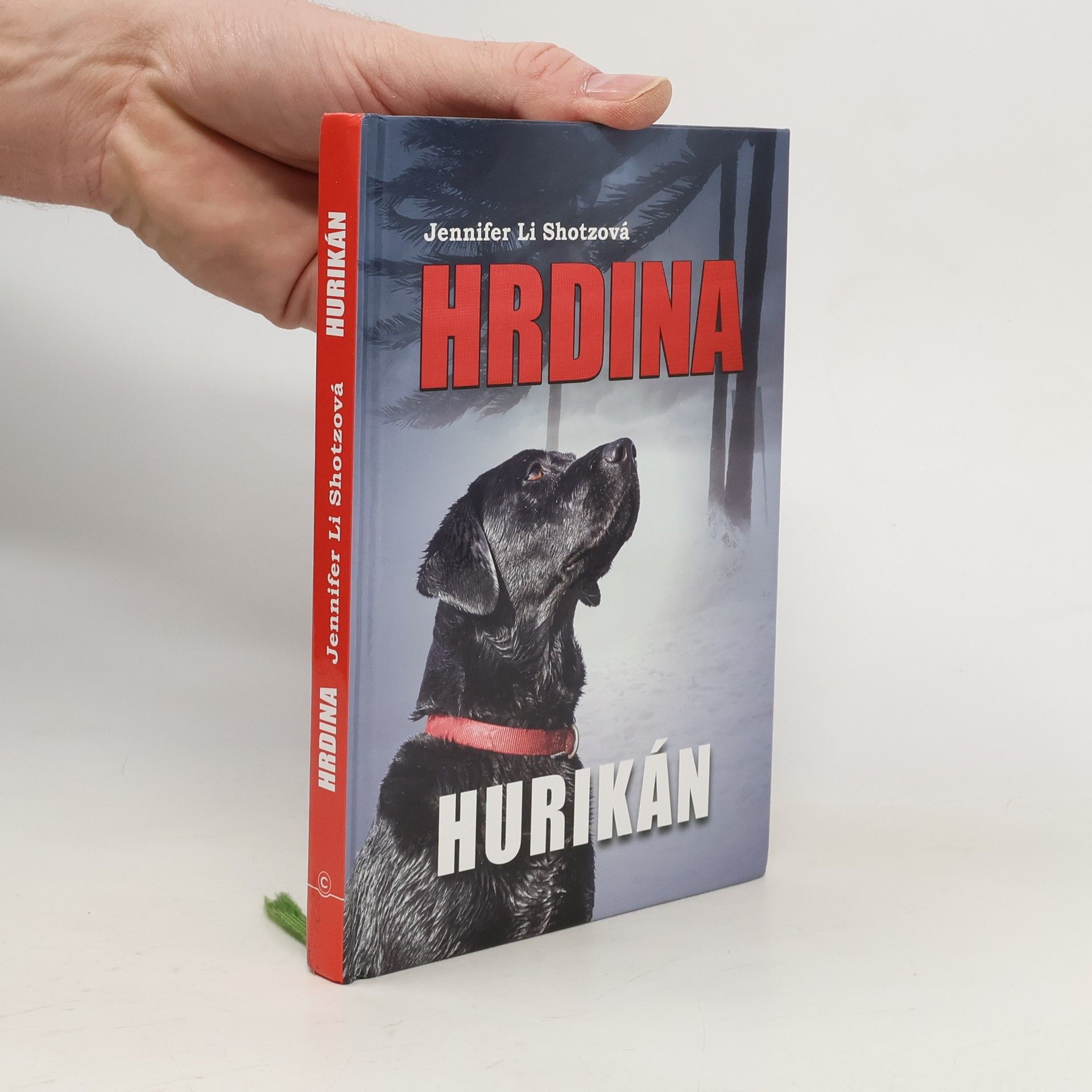 Hurikán