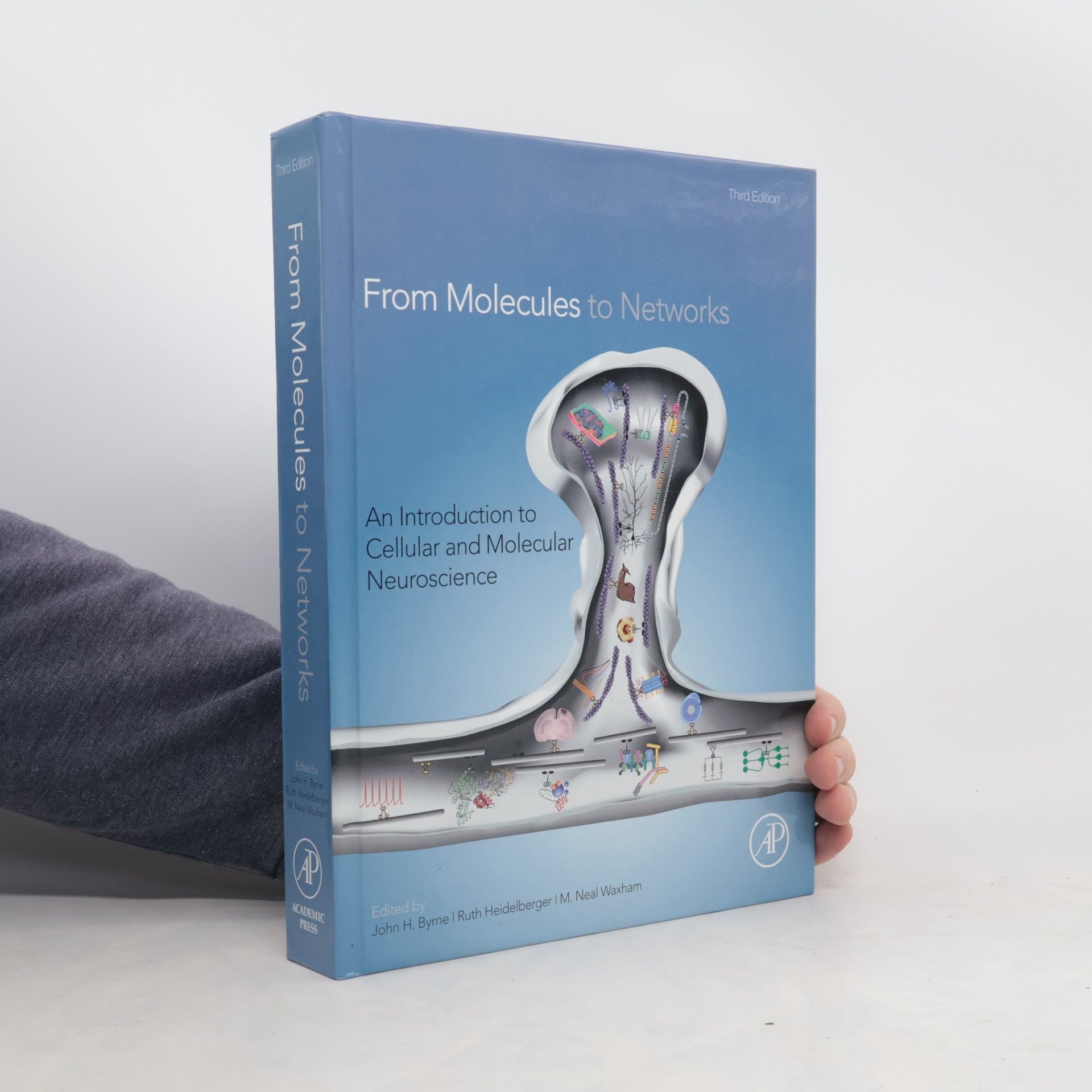 John H. Byrne From Molecules to Networks