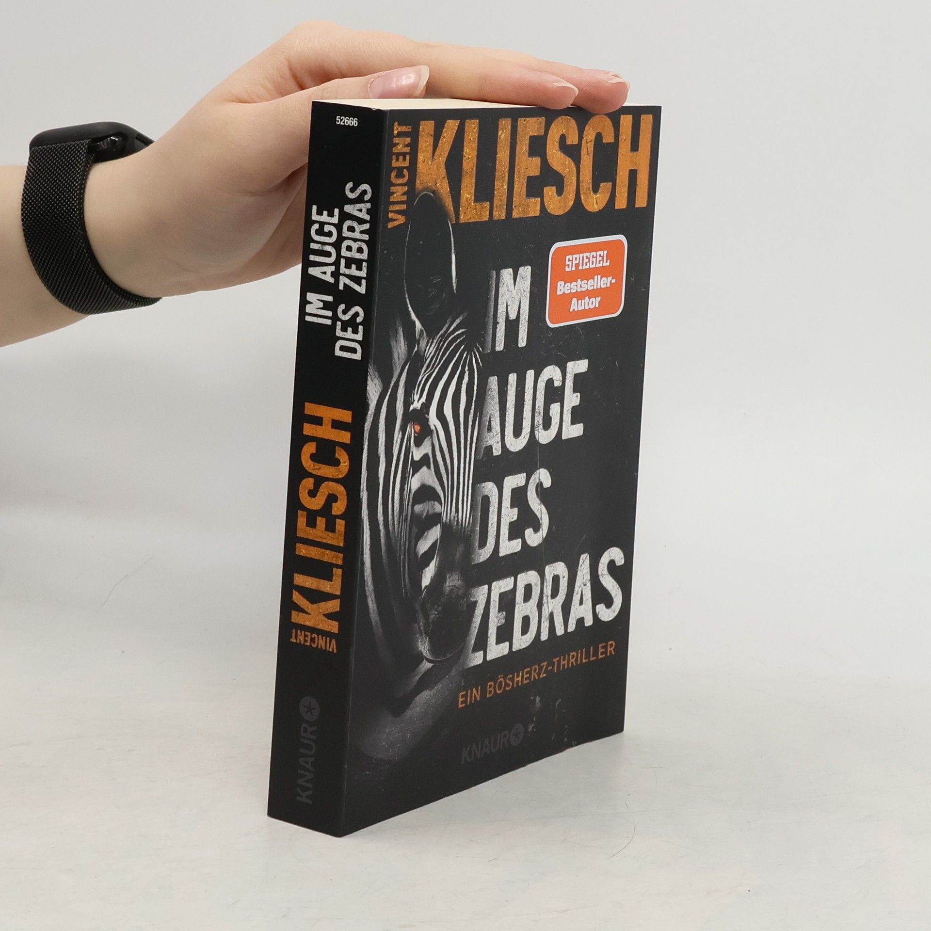 Vincent Kliesch Im Auge des Zebras