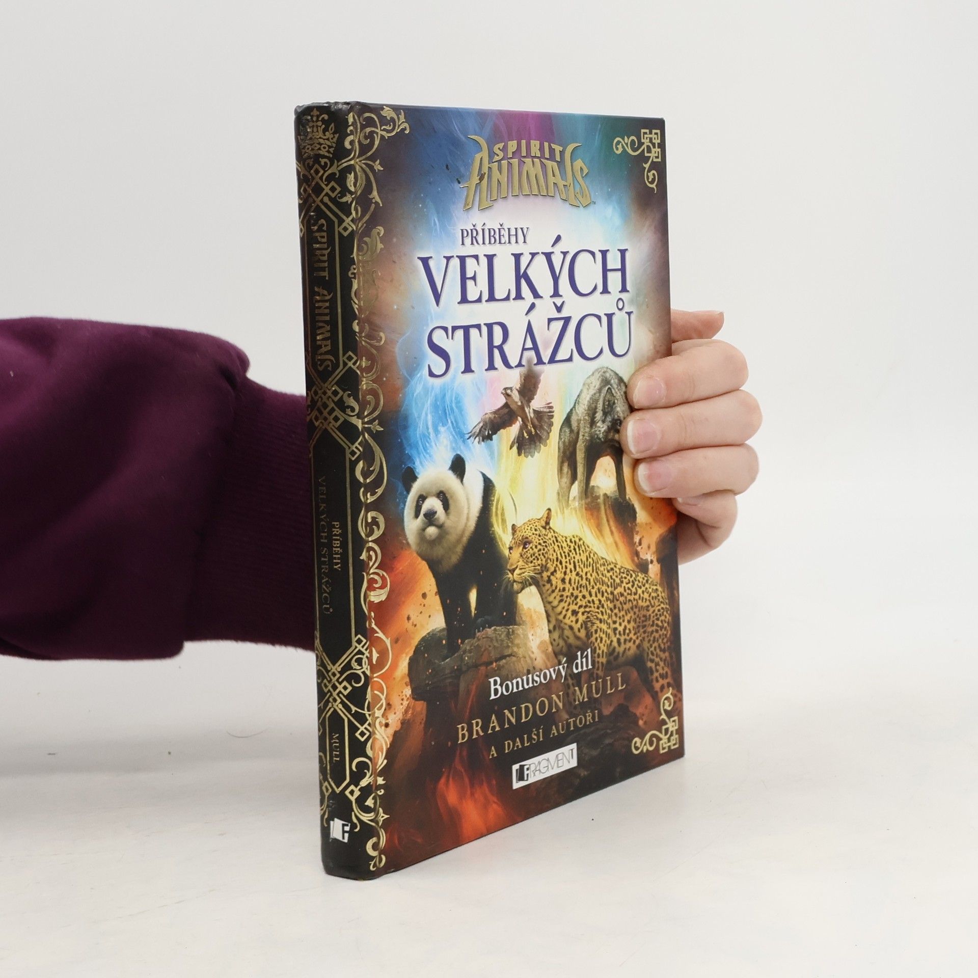 Brandon Mull Příběhy Velkých strážců