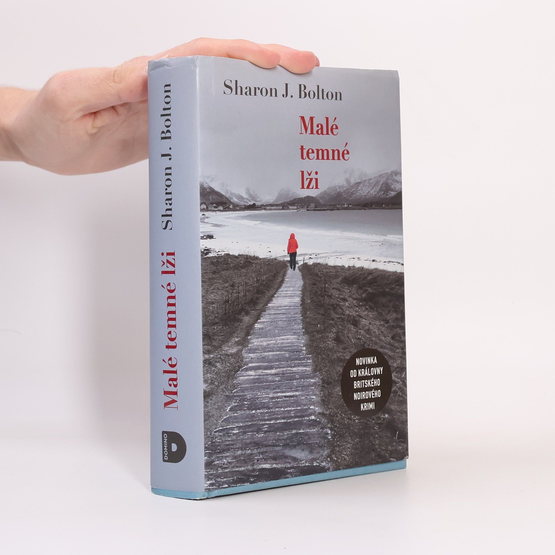 S. J. Bolton Malé temné lži