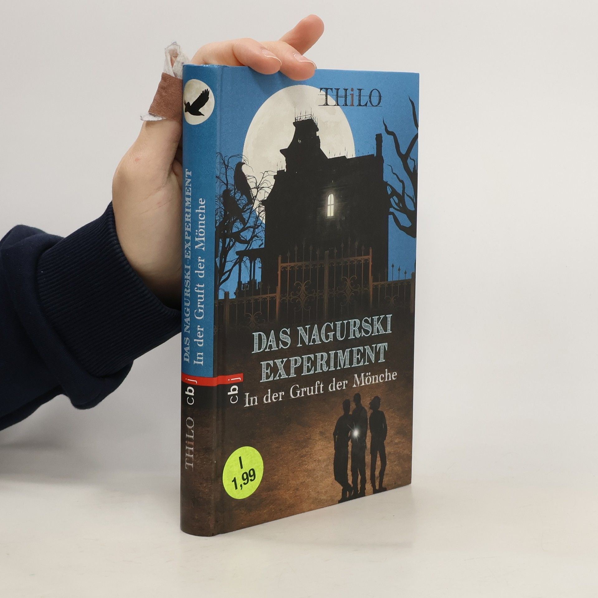 Thilo Petry-Lassak Das Nagurski-Experiment - in der Gruft der Mönche