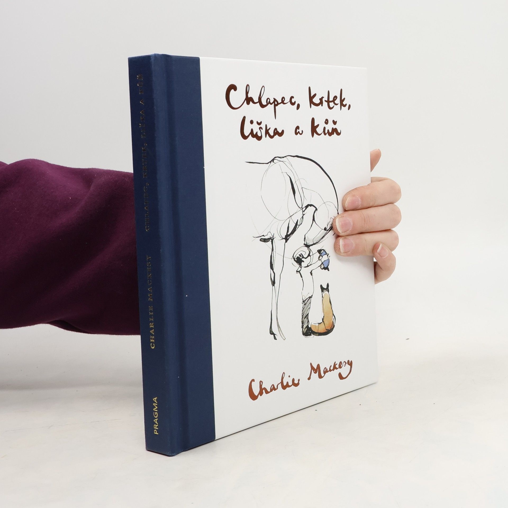 Charlie Mackesy Chlapec, krtek, liška a kůň