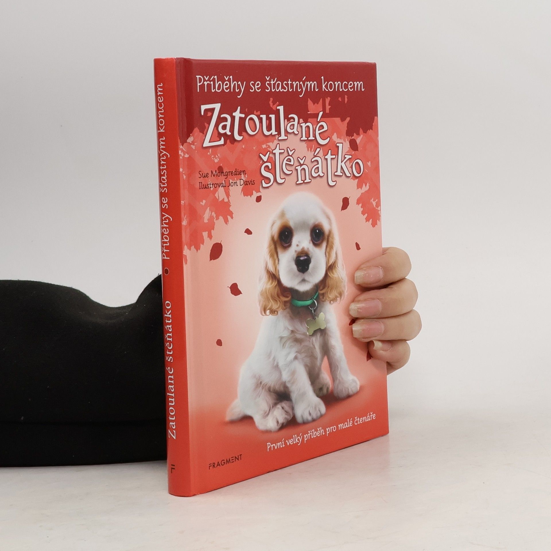 Jon Davis Zatoulané štěňátko