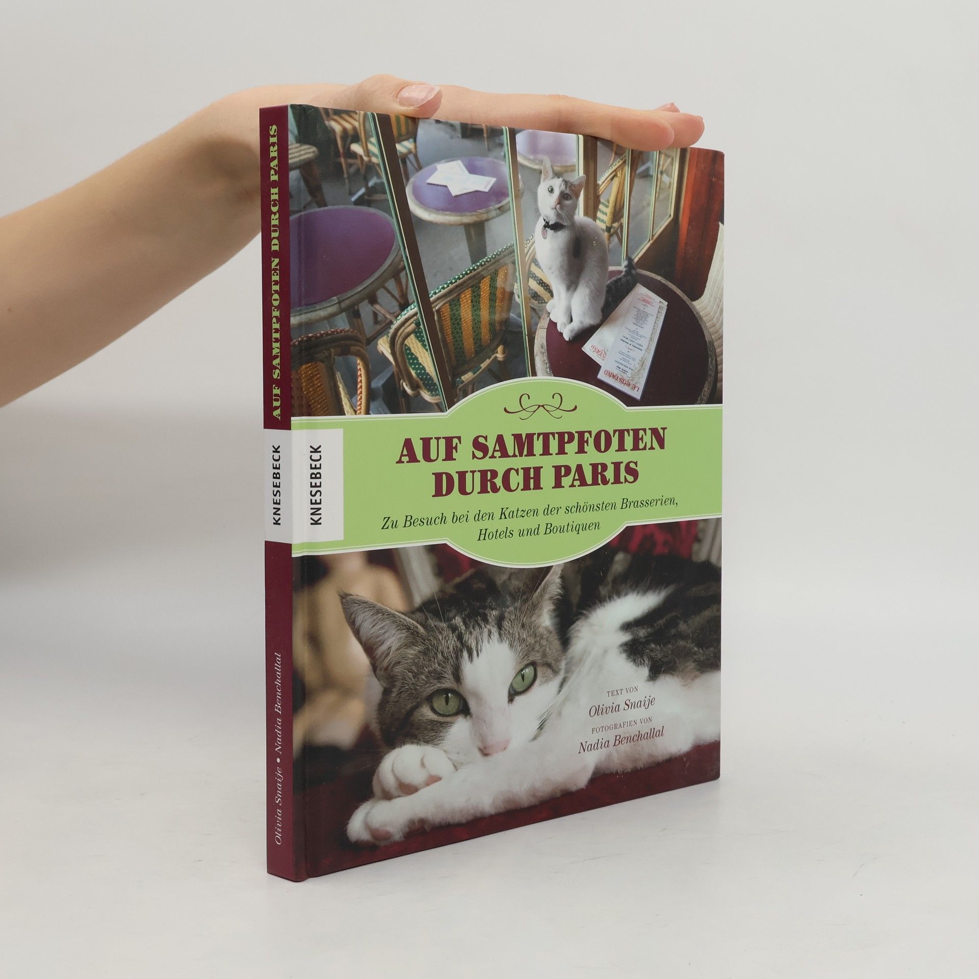 Olivia Snaije Auf Samtpfoten durch Paris