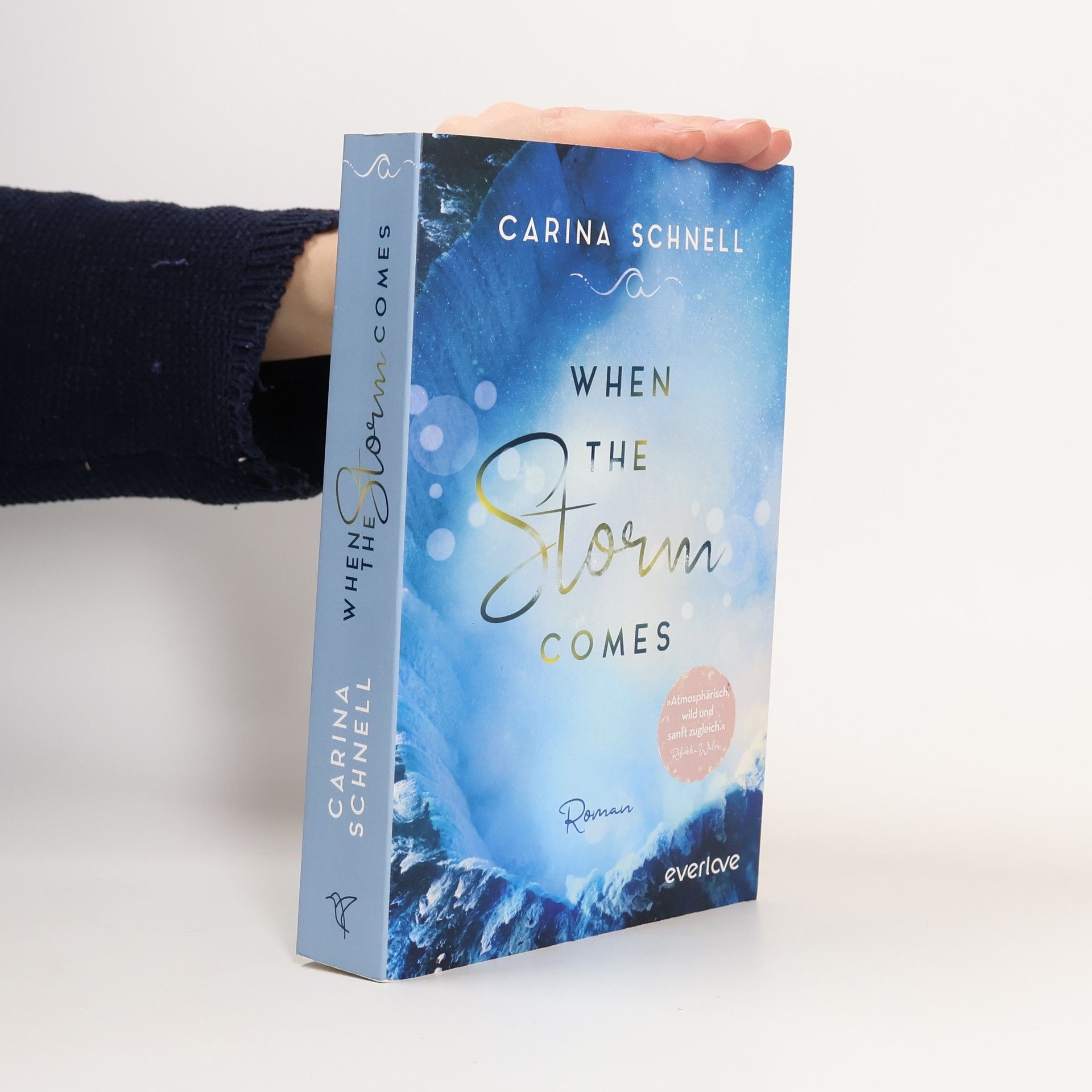 Carina Schnell When the storm comes