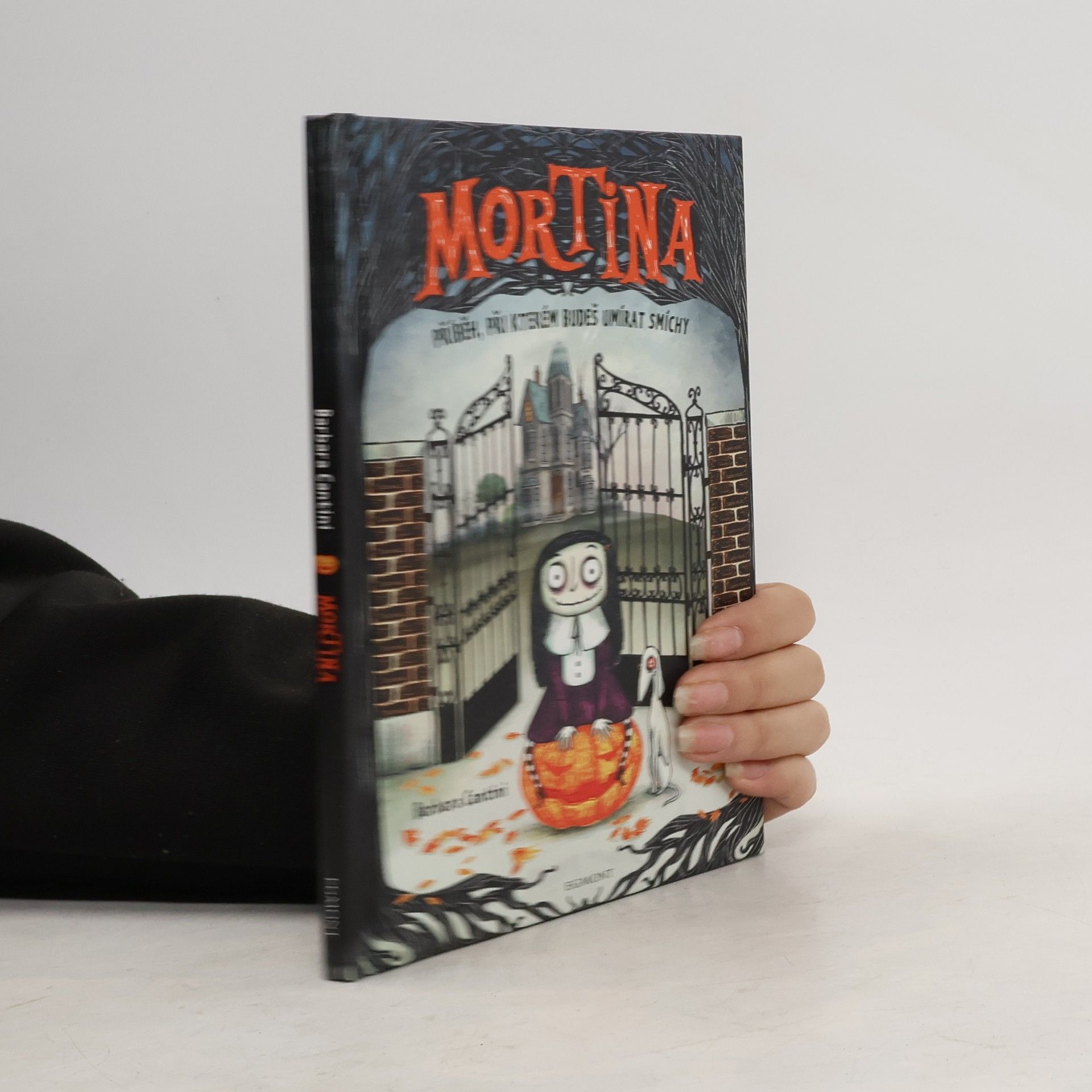 Barbara Cantini Mortina