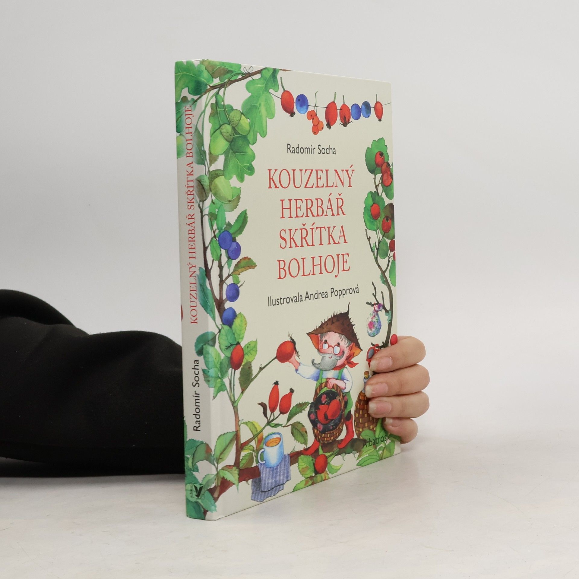 Kouzelný herbář skřítka Bolhoje