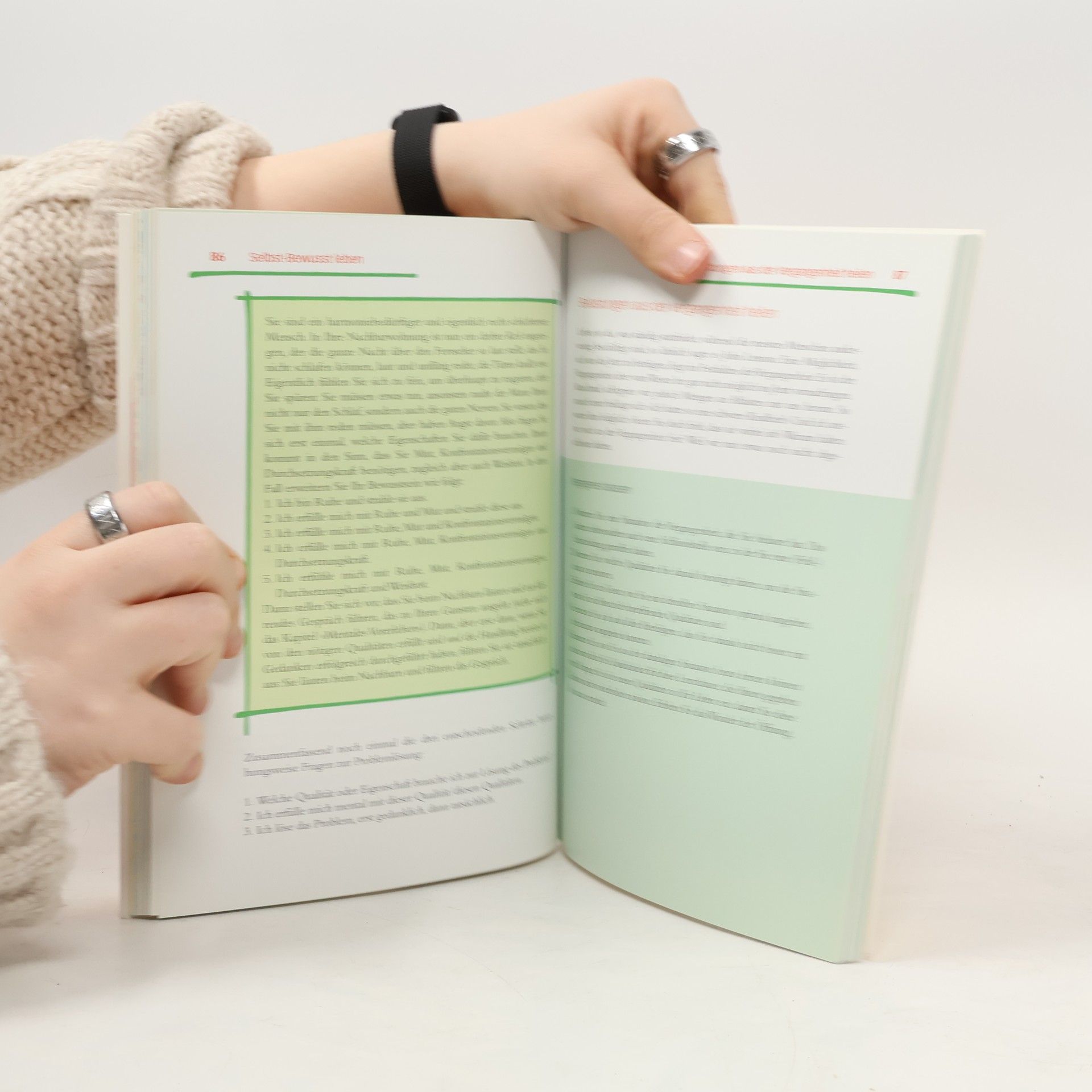 Kurt Tepperwein Praxisbuch Mental-Training