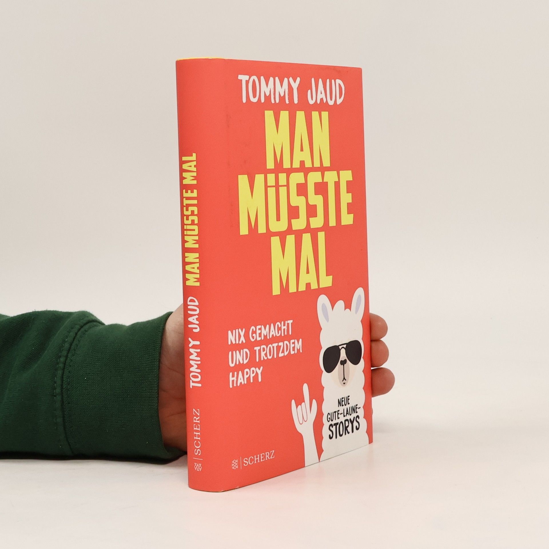 Tommy Jaud Man müsste mal