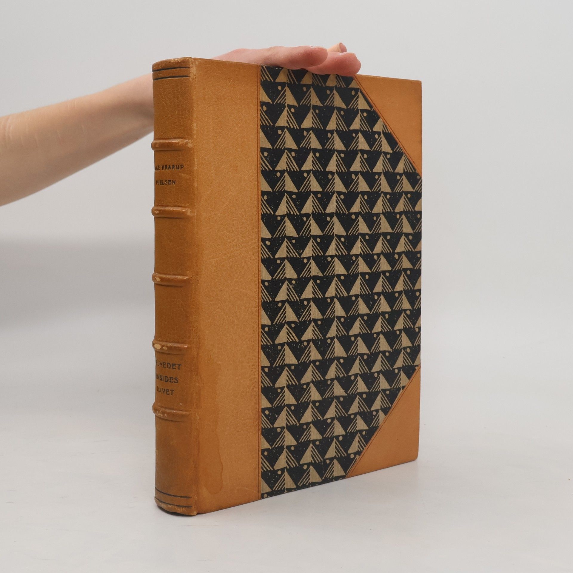 Aage Krarup Nielsen Helvedet hinsides havet: En straffefanges optegnelser fra Guyana