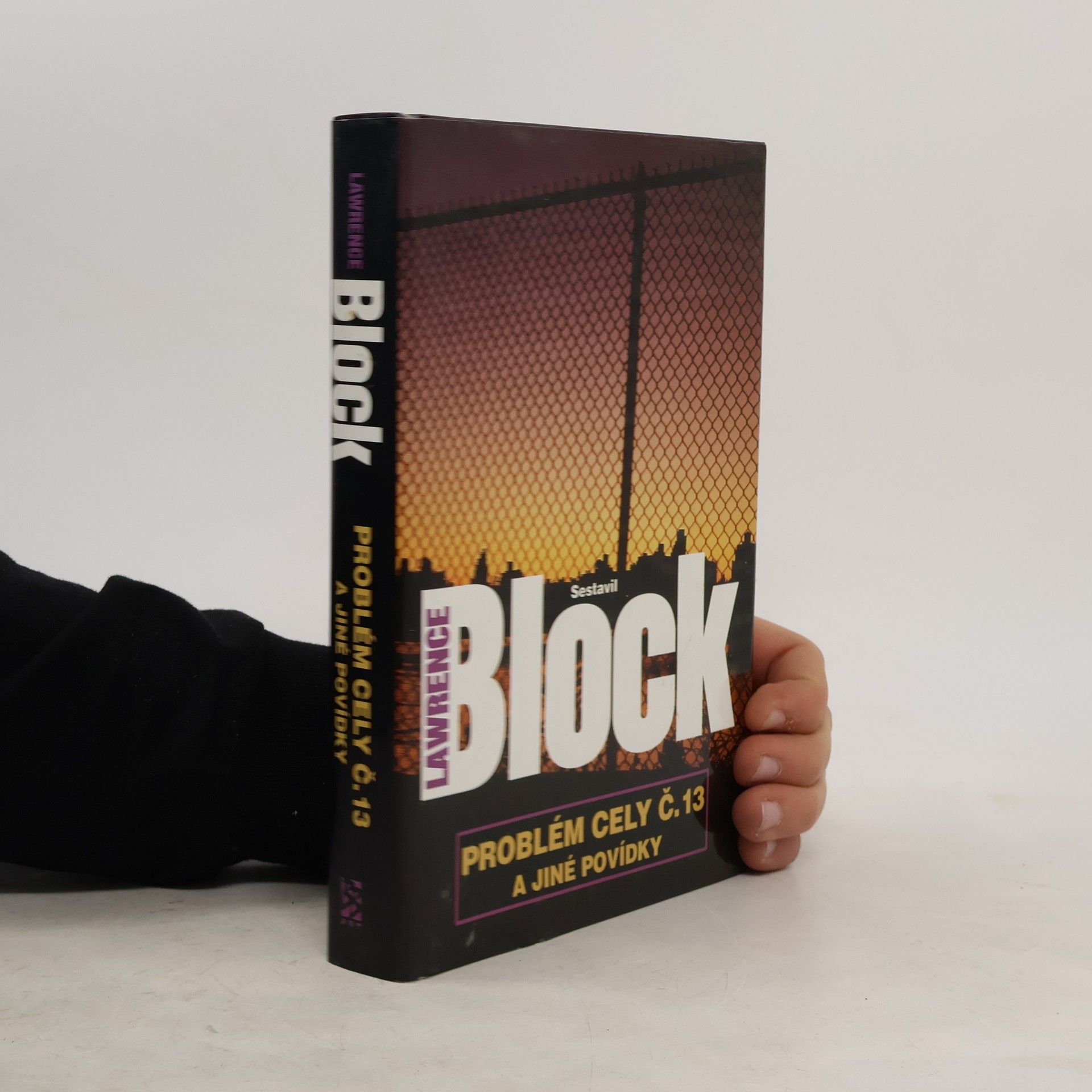 AA.VV. Problém cely č. 13 a jiné povídky