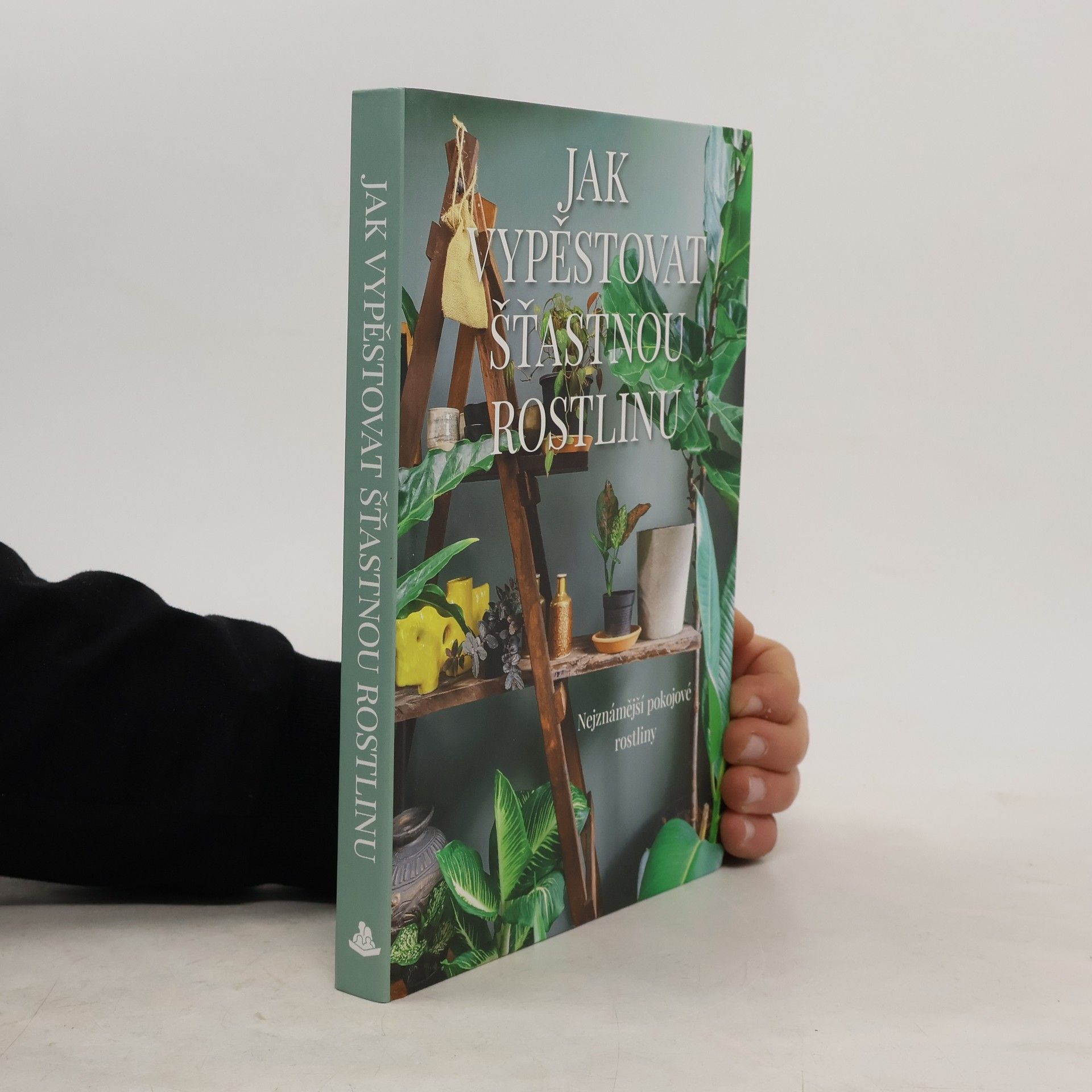 Jak vypěstovat šťastnou rostlinu