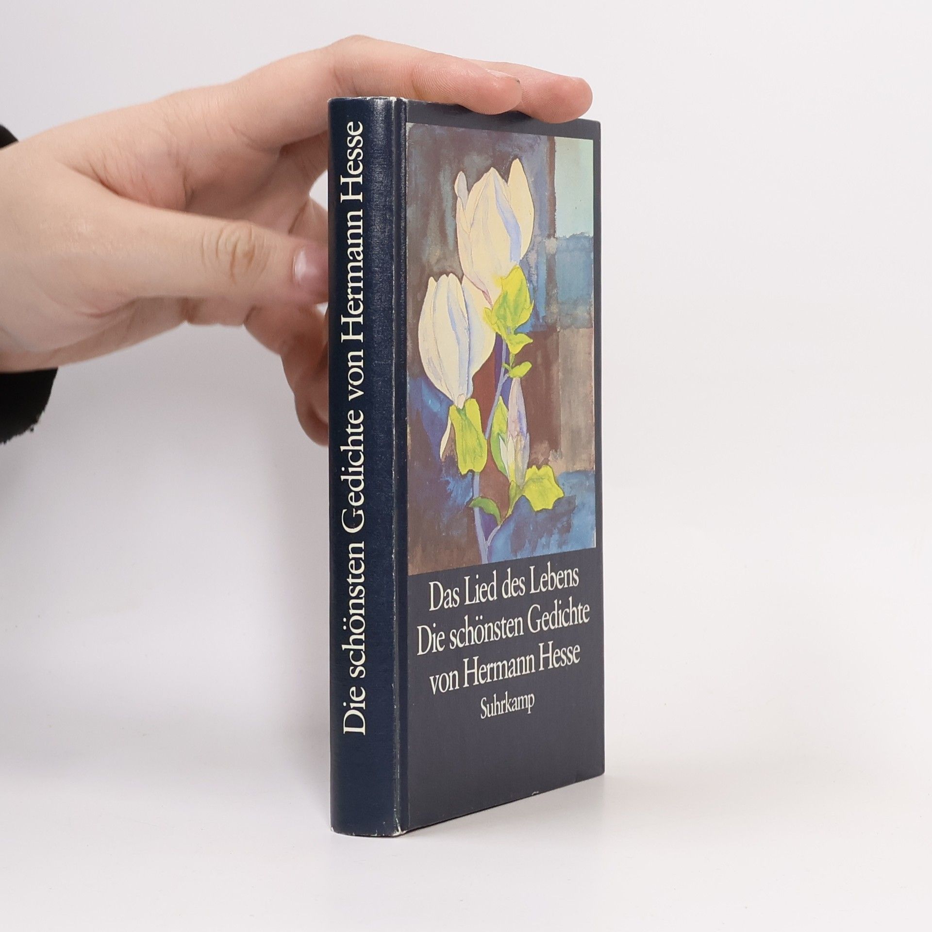 Hermann Hesse Das Lied des Lebens. Die schönsten Gedichte von Hermann Hesse