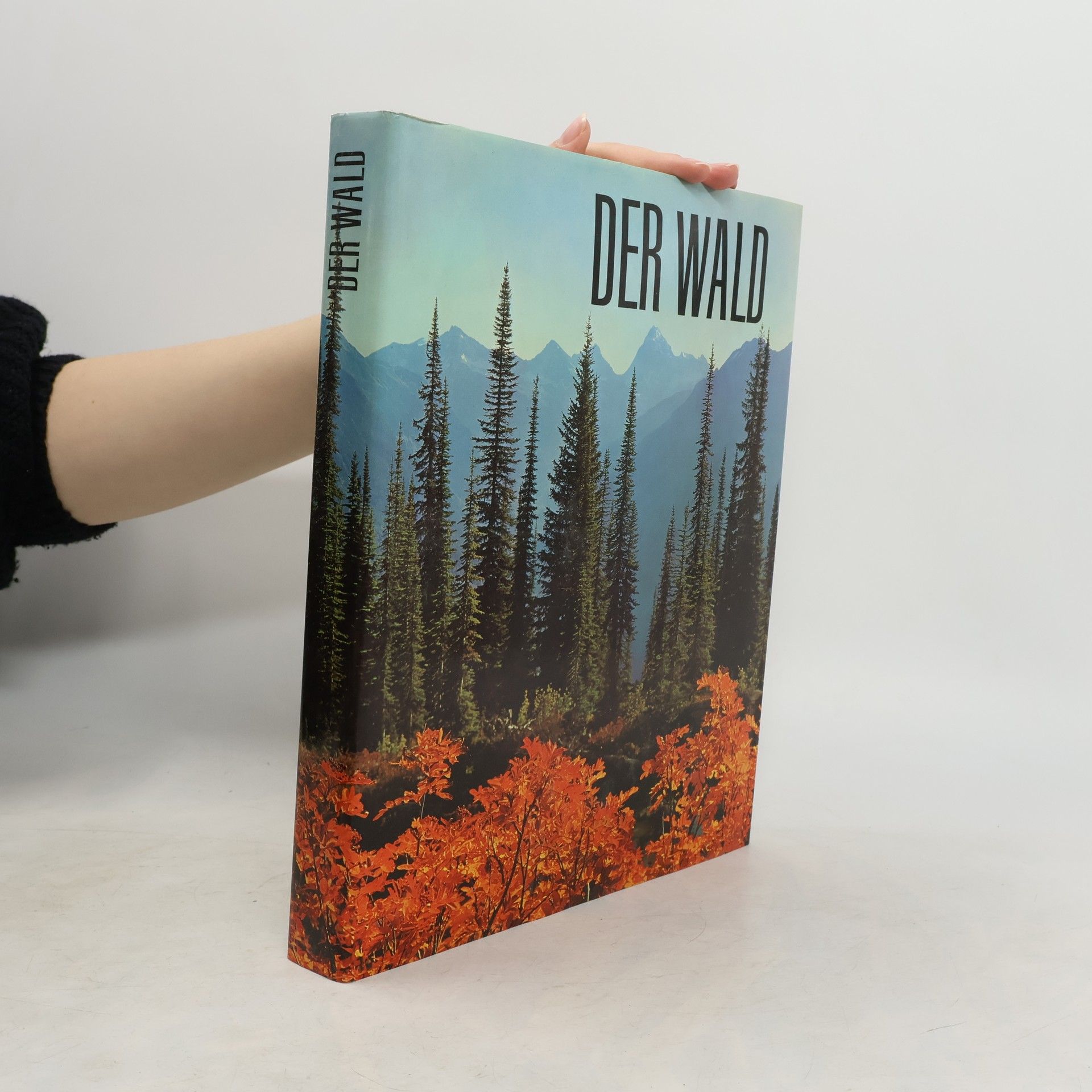 Walter Kümmerly Der Wald