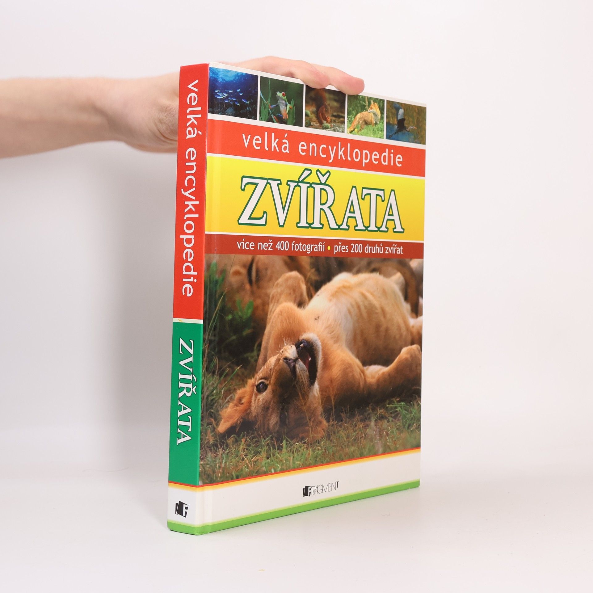 Jitka Mádrová Zvířata : velká encyklopedie