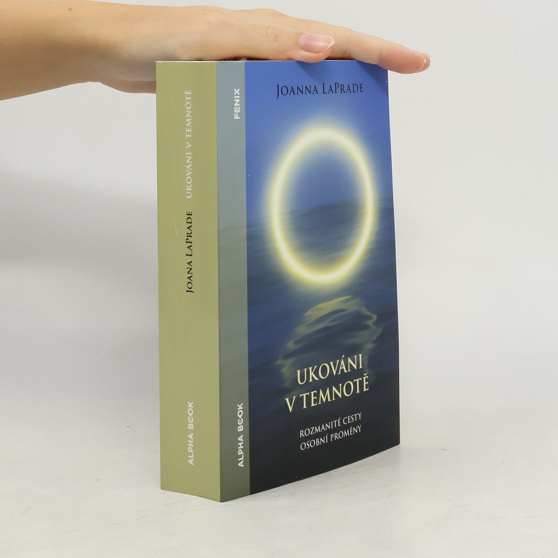 Joanna LaPrade Ukováni v temnotě : rozmanité cesty osobní proměny