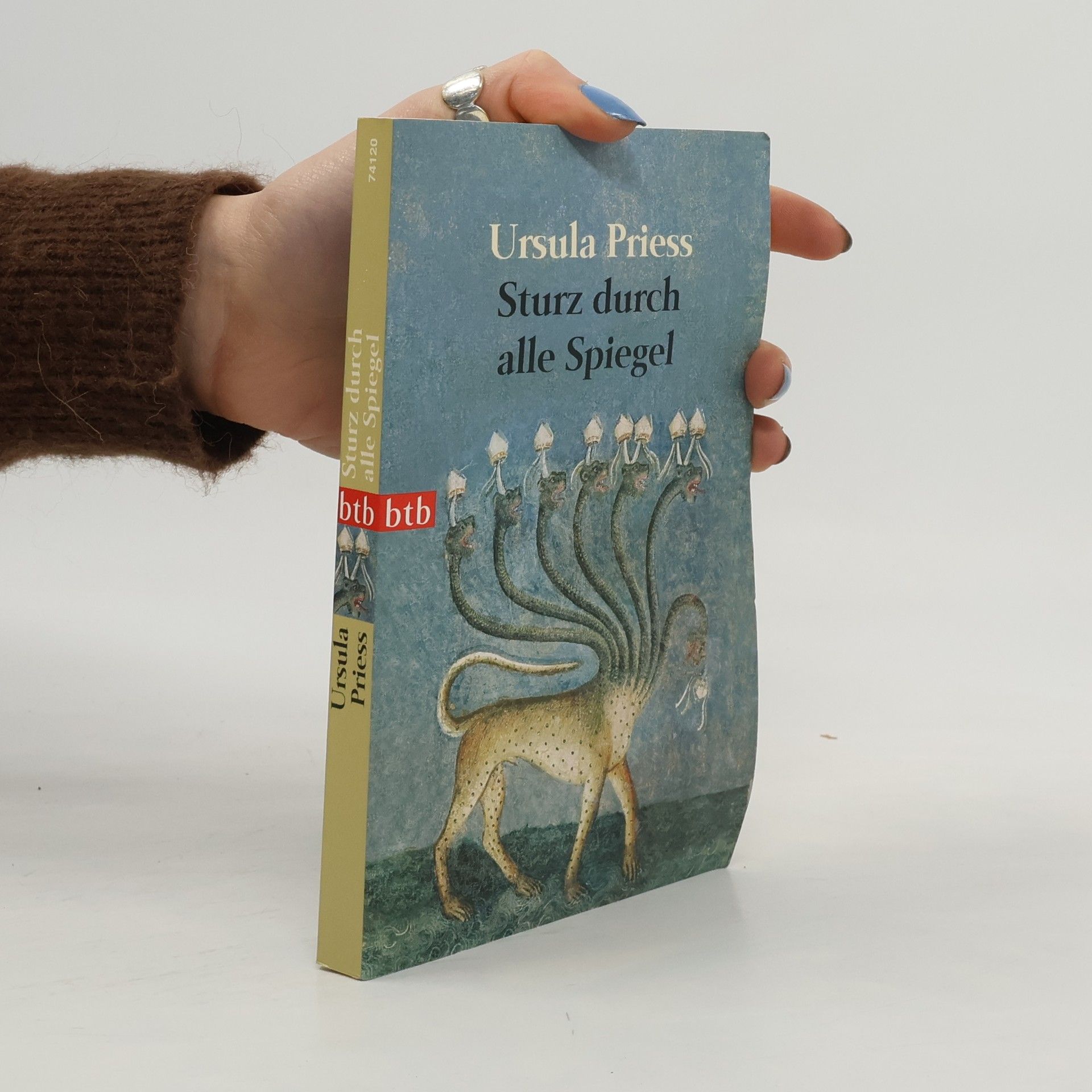 Ursula Priess Sturz durch alle Spiegel