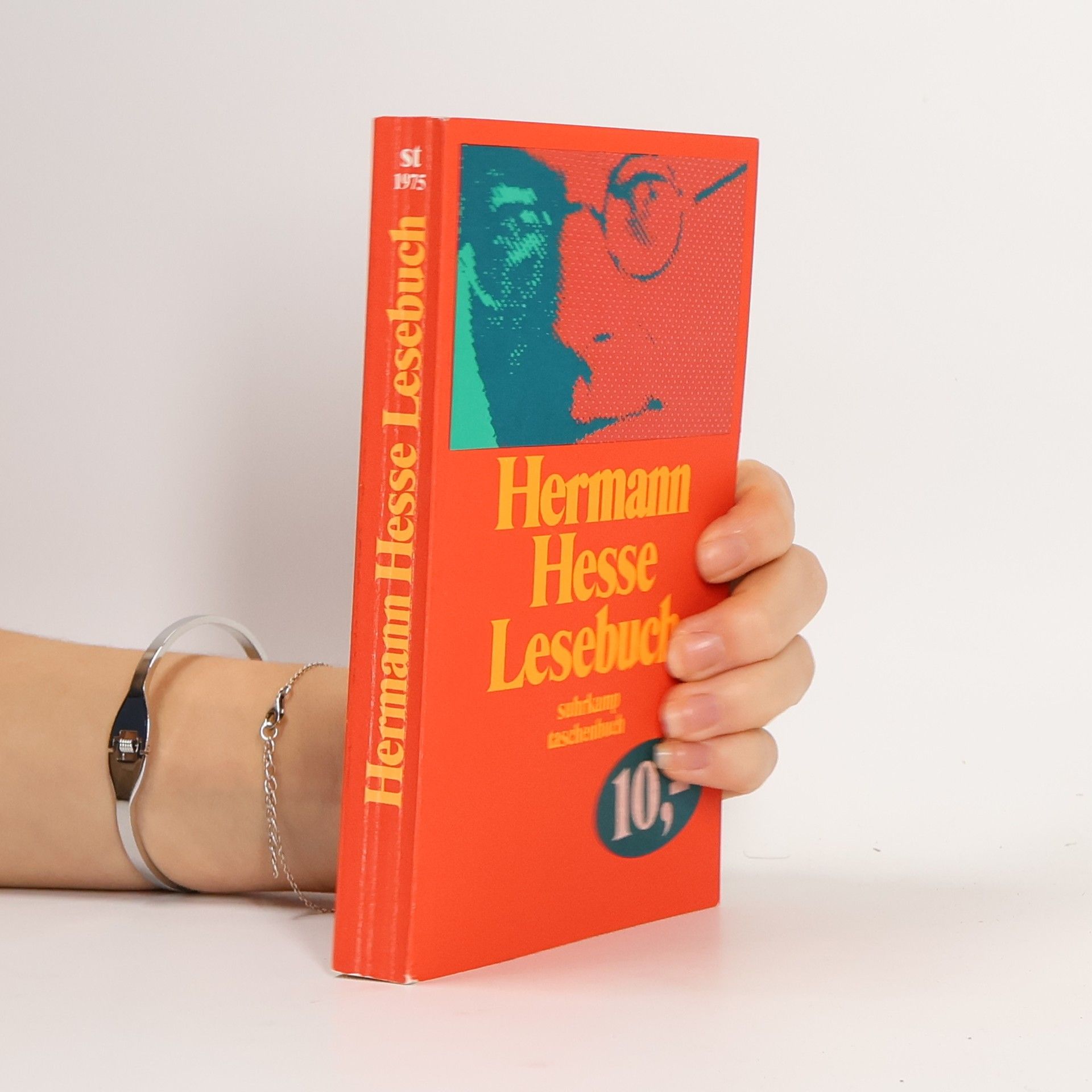 Hermann Hesse Lesebuch