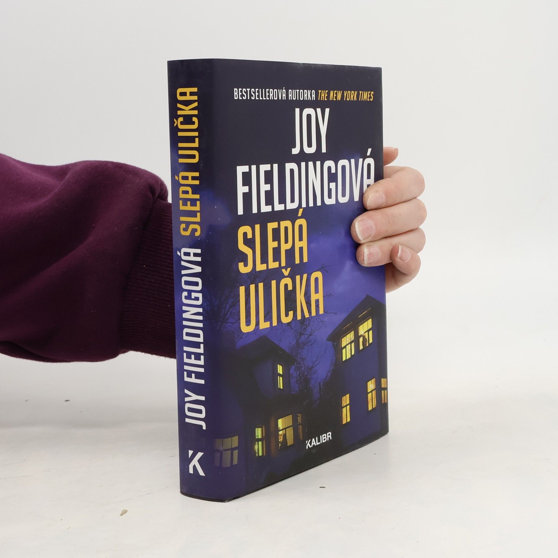 Joy Fielding Slepá ulička