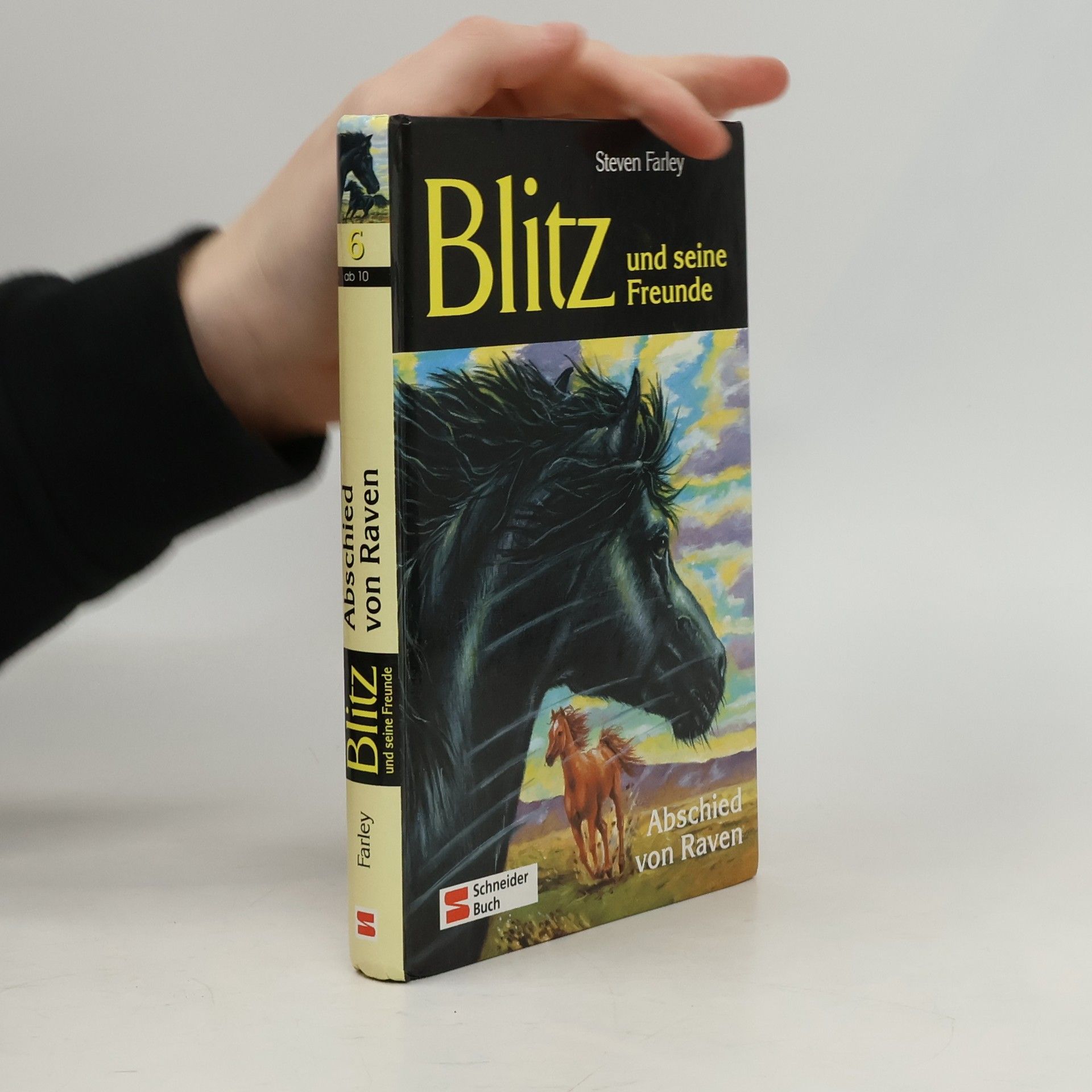 Steven Farley Blitz und seine Freunde, Bd.6, Abschied von Raven
