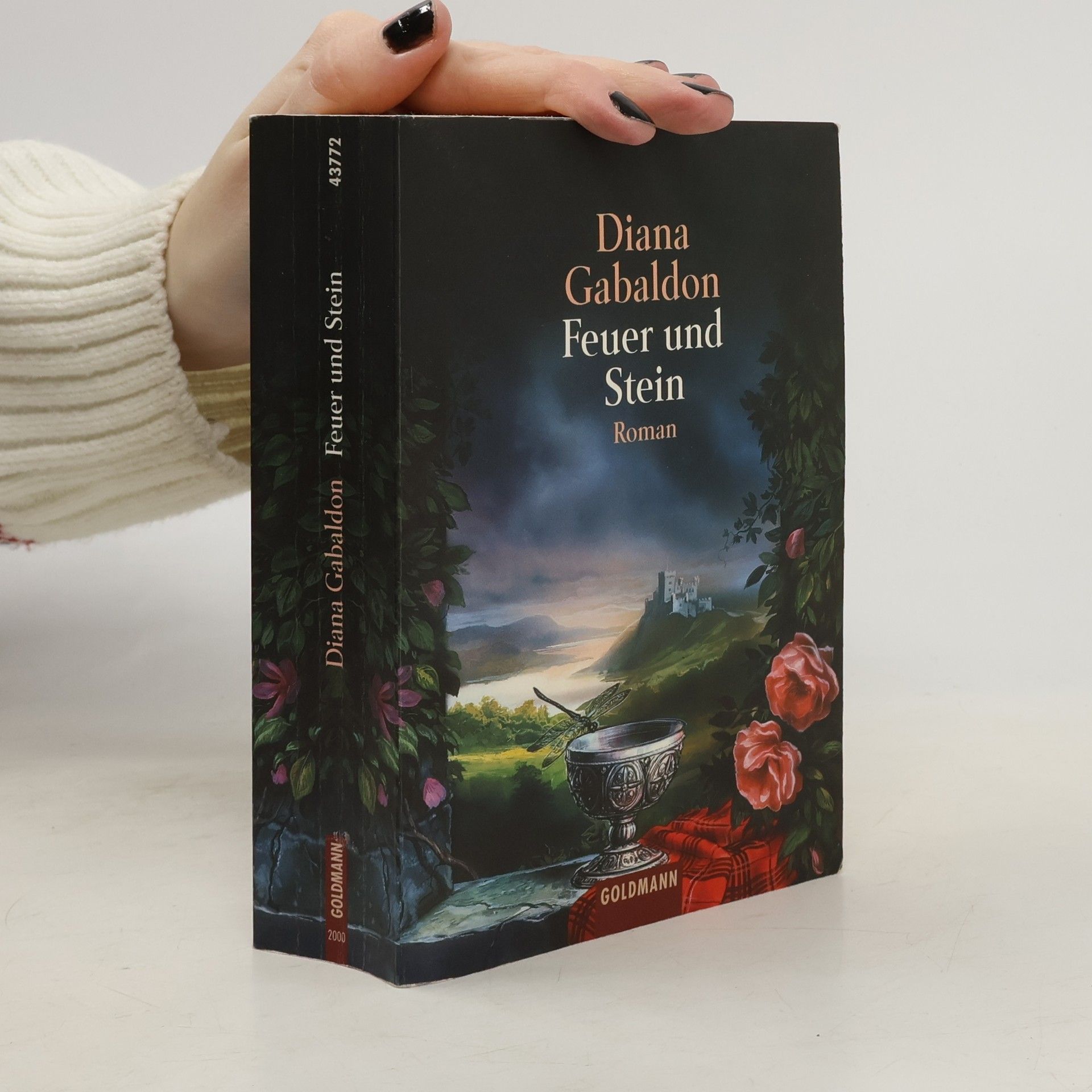 Diana Gabaldon Feuer und Stein