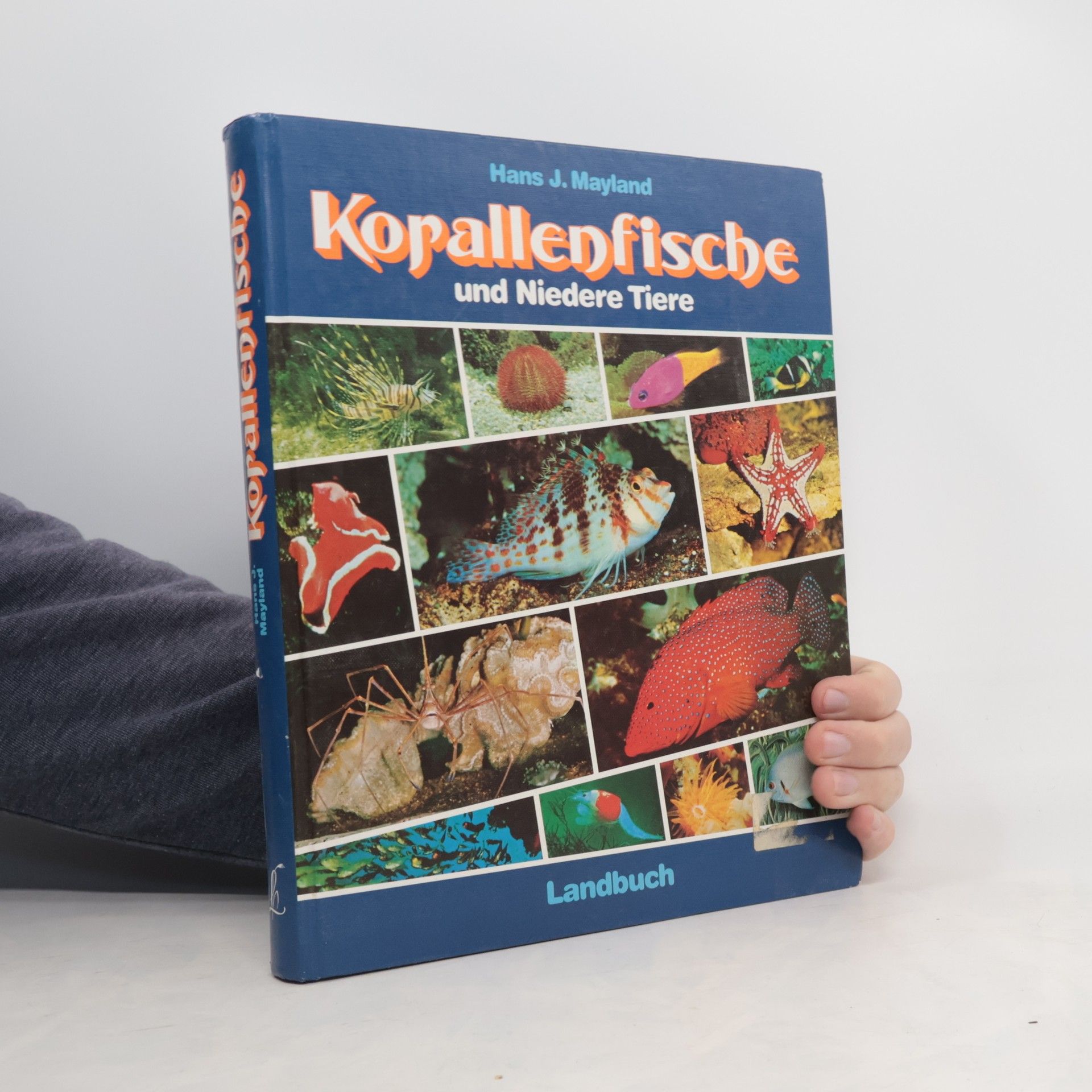 Hans J. Mayland Korallenfische und Niedere Tiere